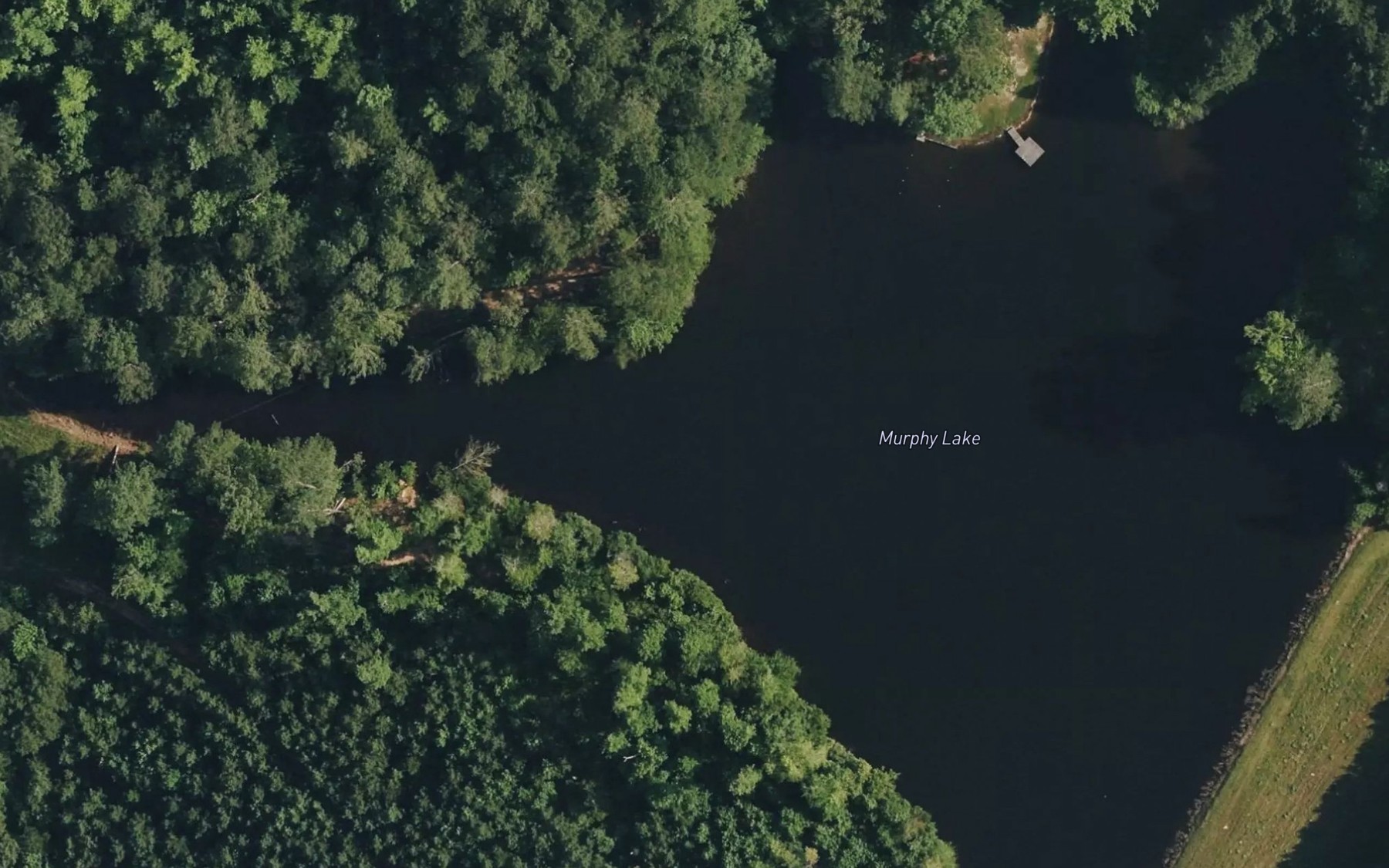 Satellite map of the Murphy Lake