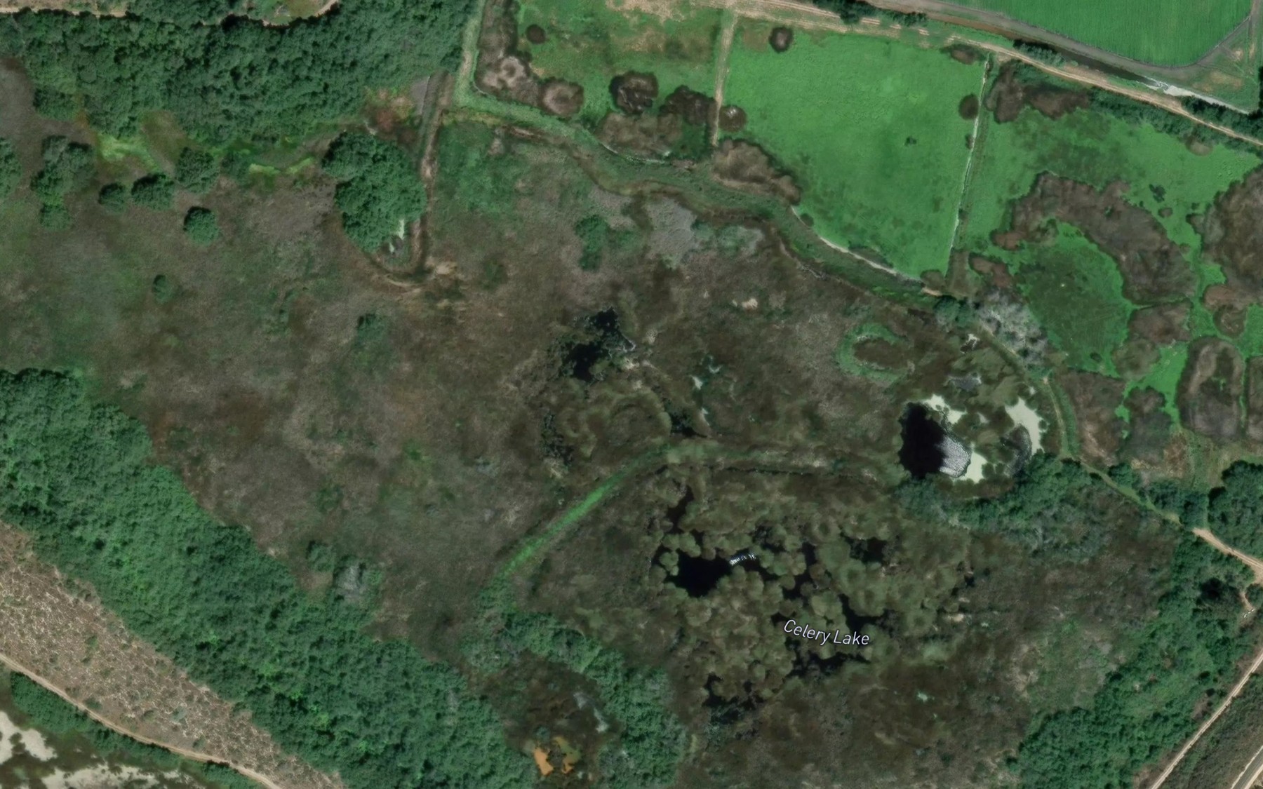 Satellite map of the Celery Lake