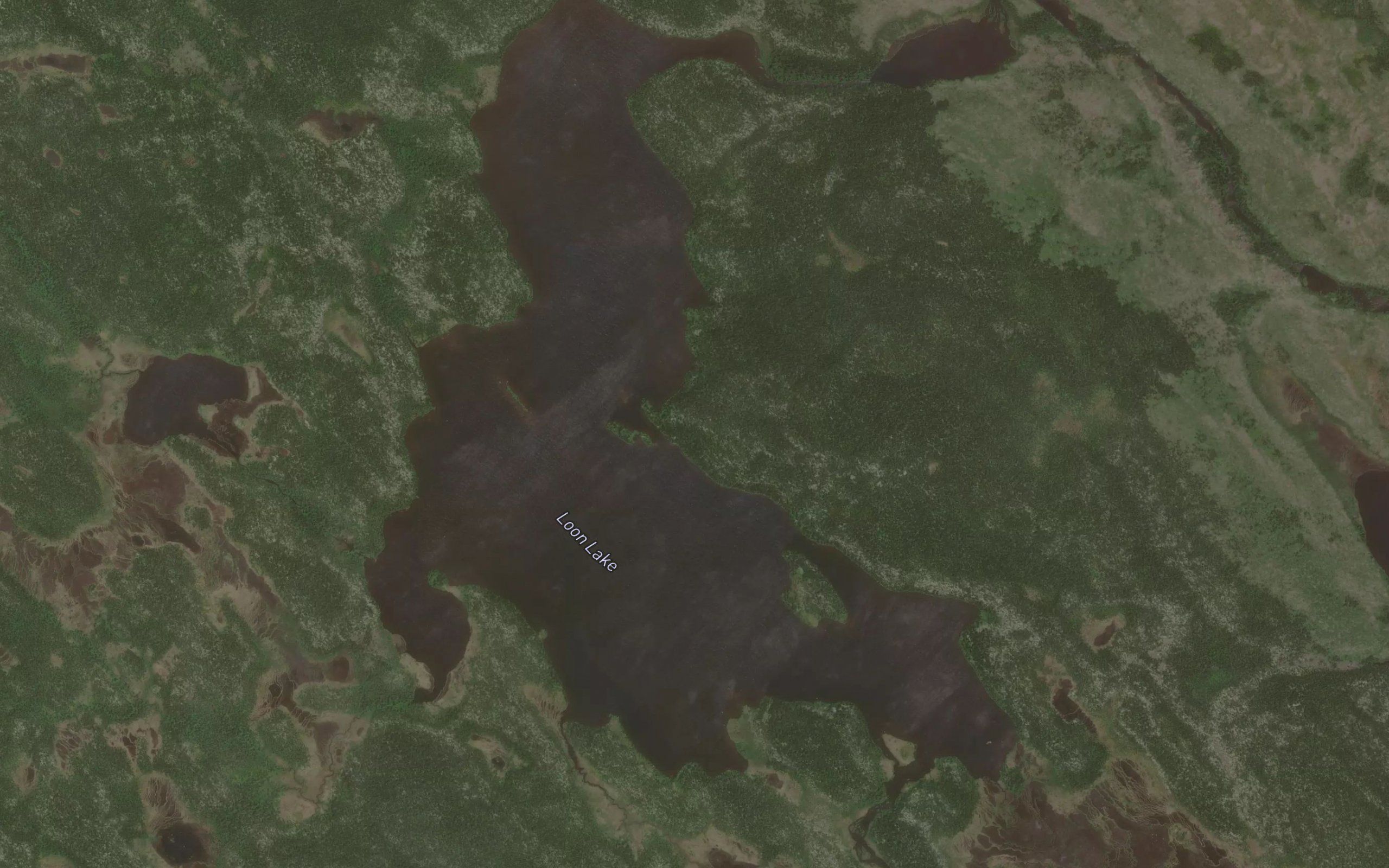 Loon Lake
