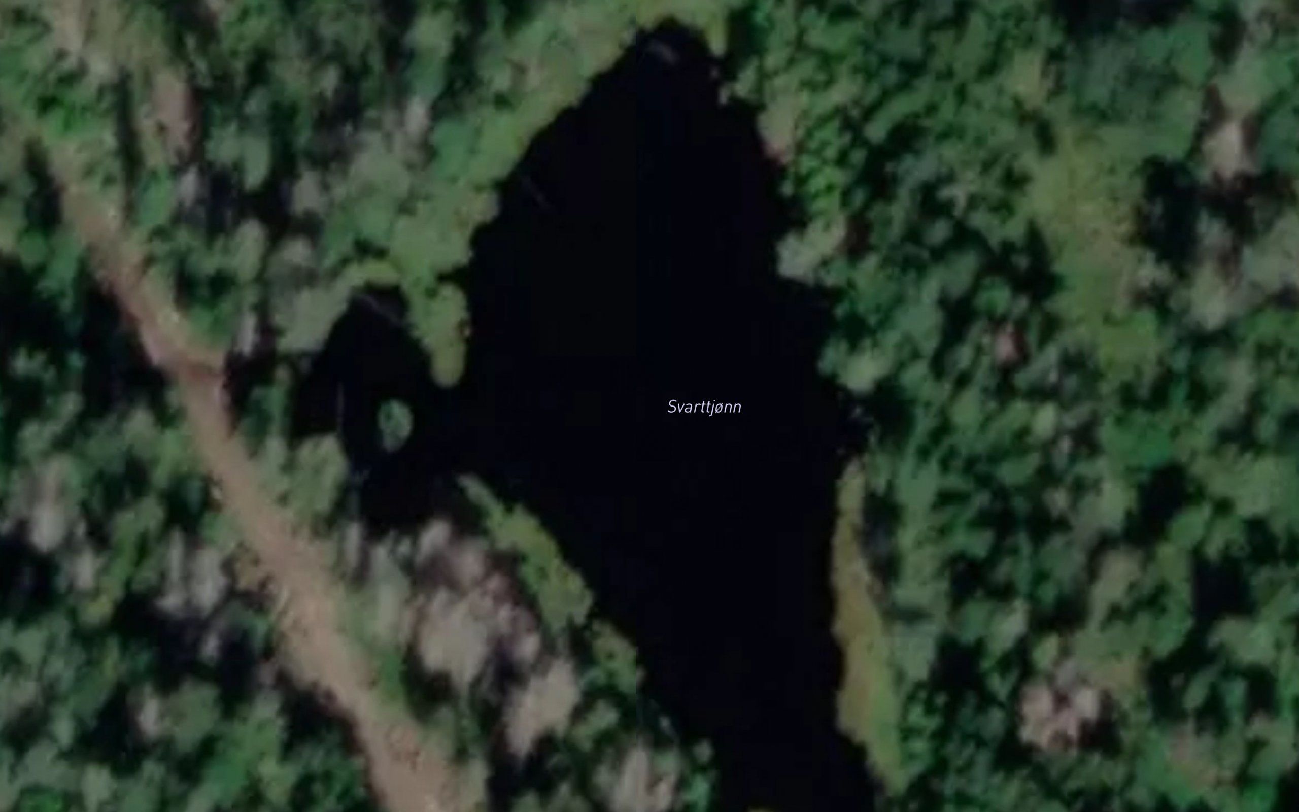 Svarttjonn