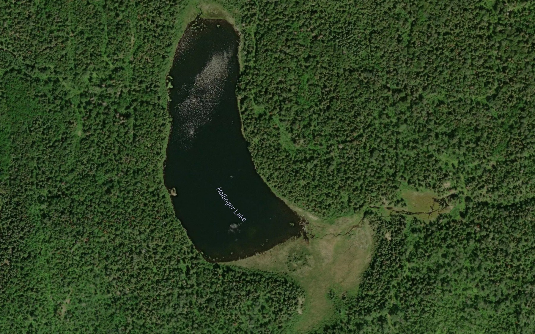 Satellite map of the Hollinger Lake