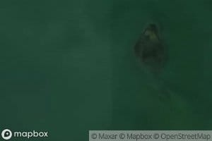 Little Limestone Lake