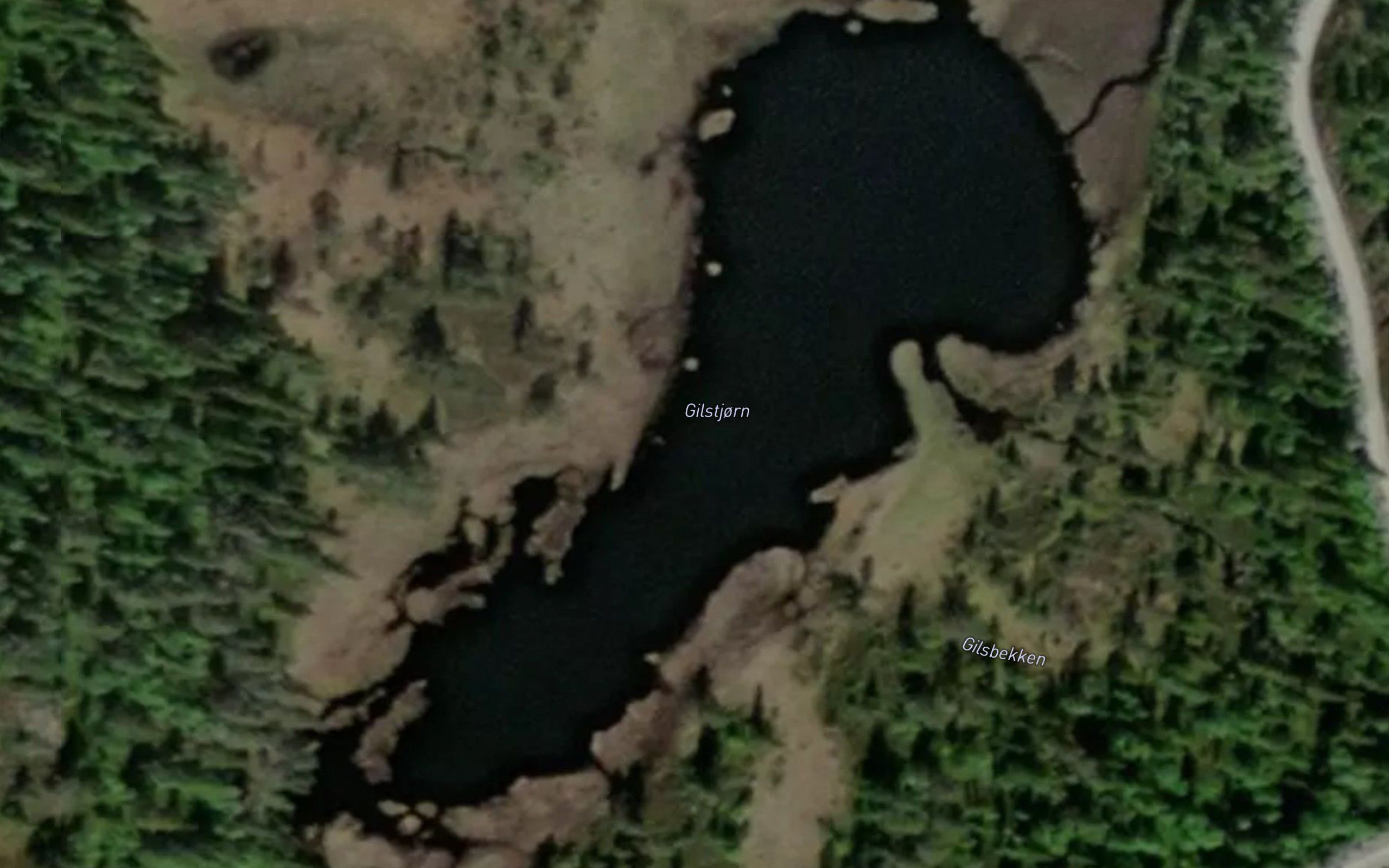 Gilstjorn