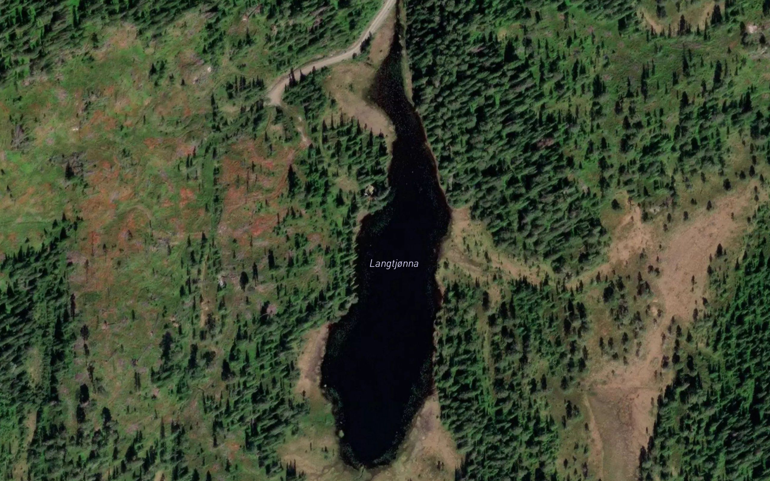 Langtjorna