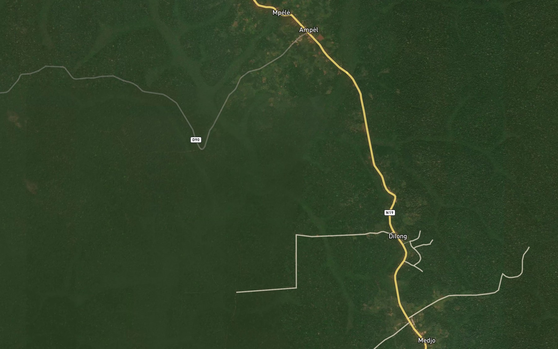 Satellite map of the Loubo