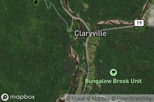 West Branch Neversink River