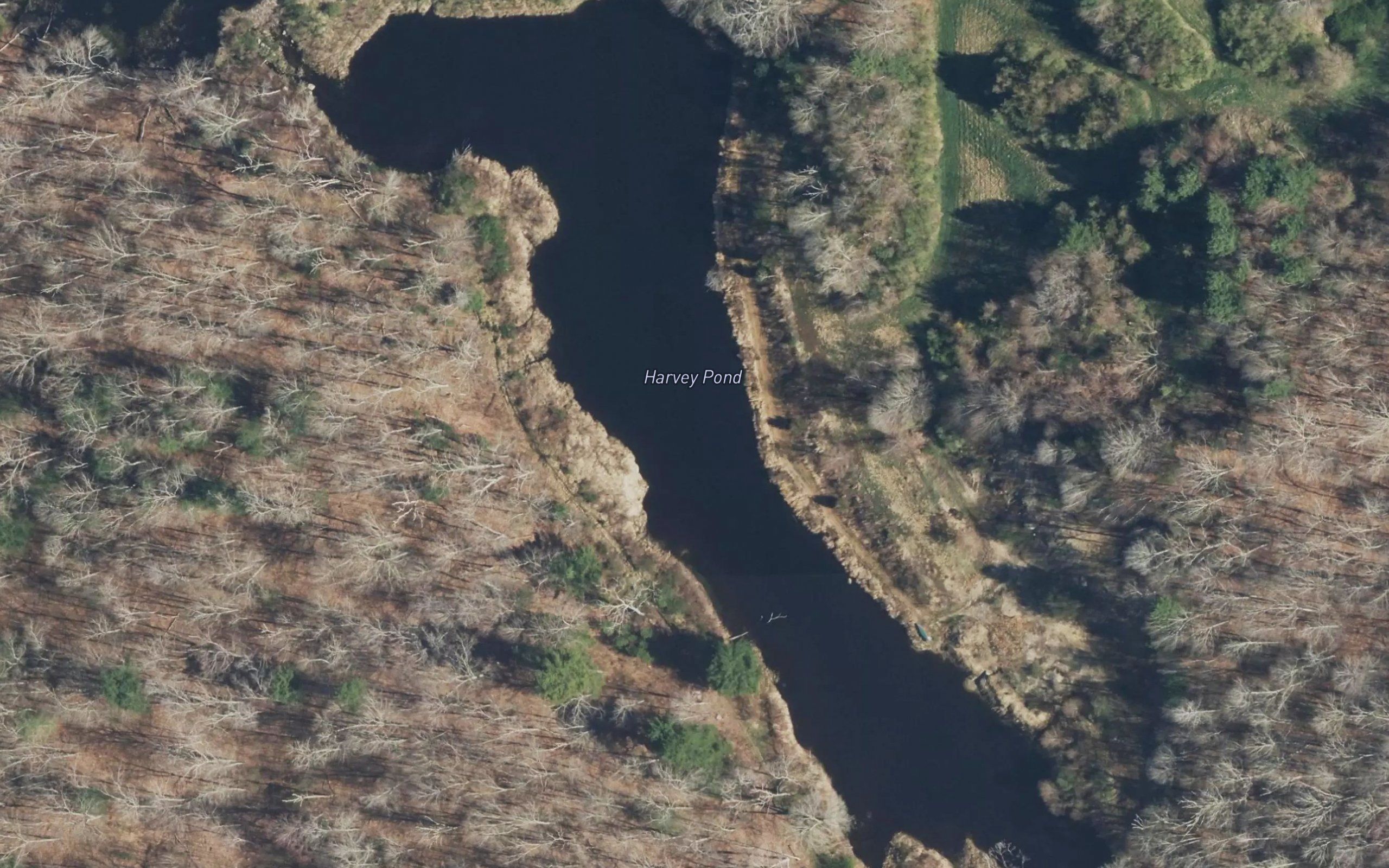 Harvey Pond