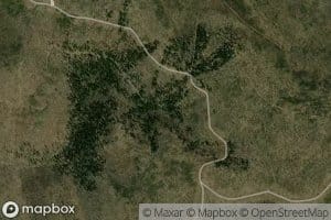 Middle Turkey Spring