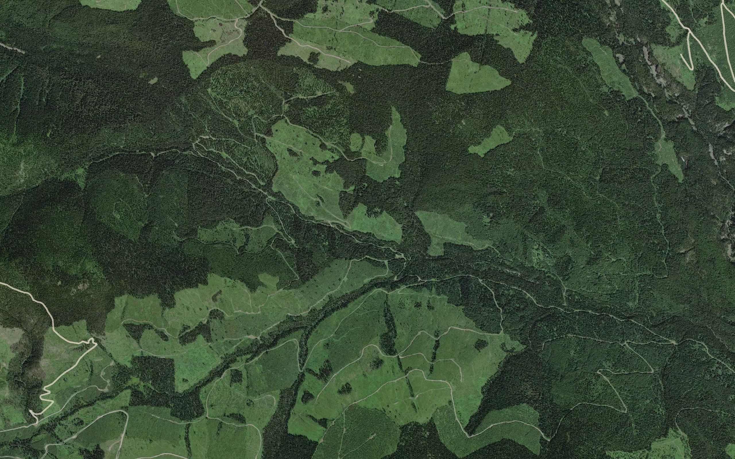 Holding Creek