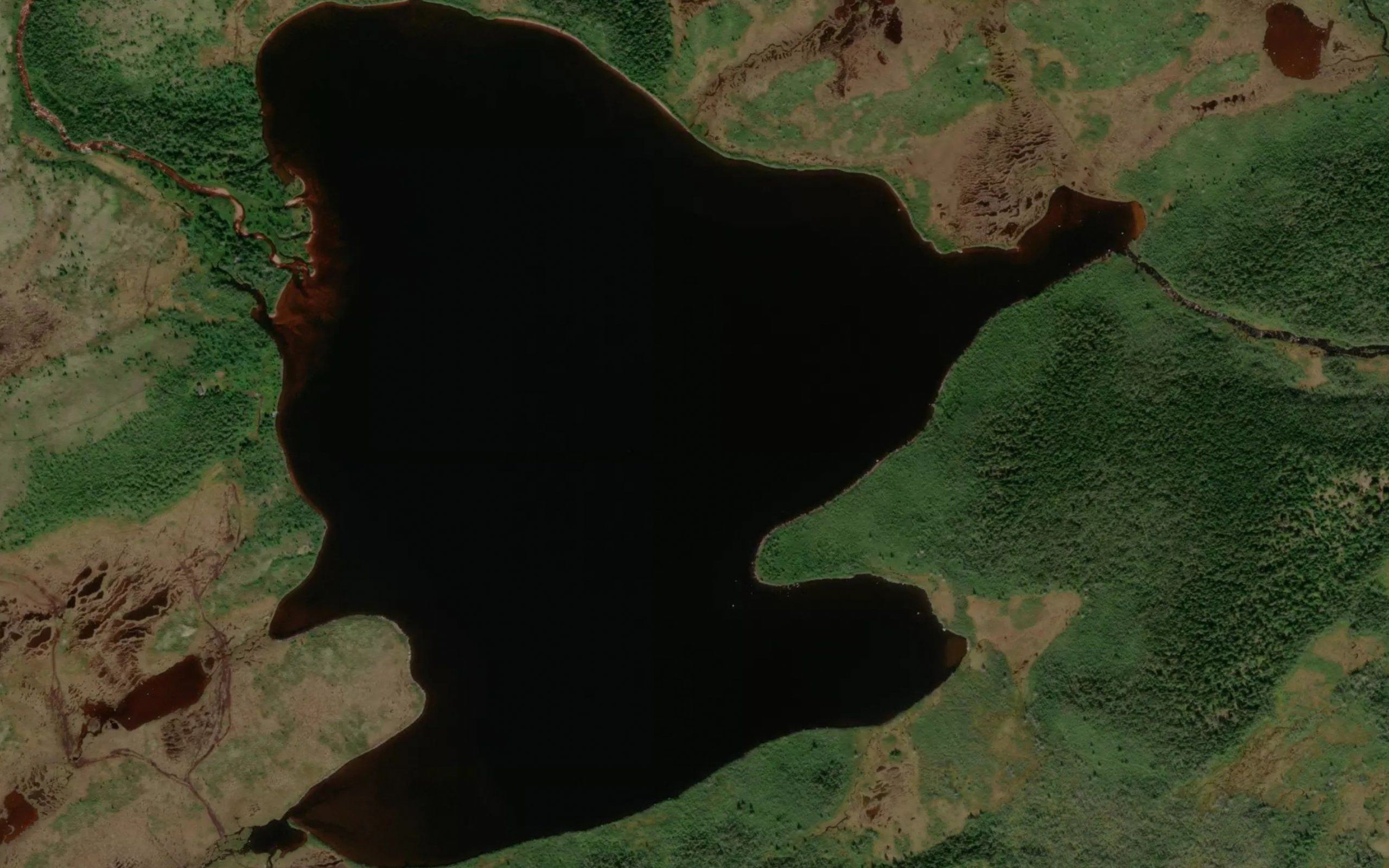 Saddler Lake