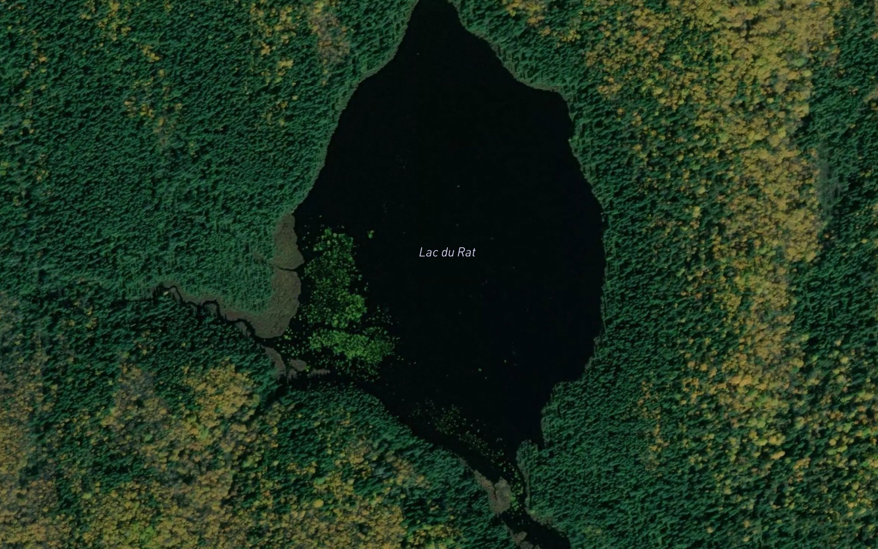 Satellite map of the Lac du Rat