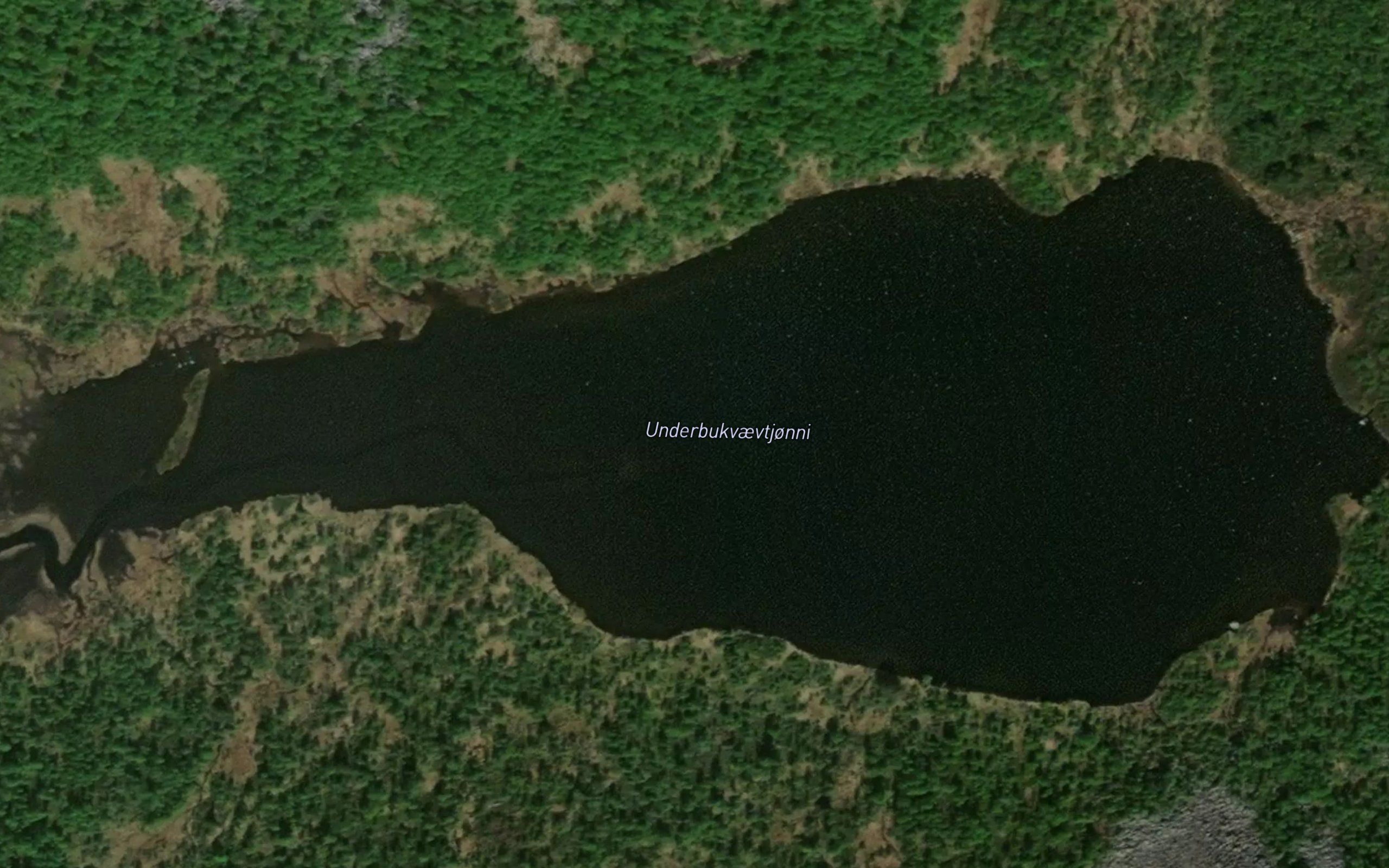 Underbukvaevtjorni