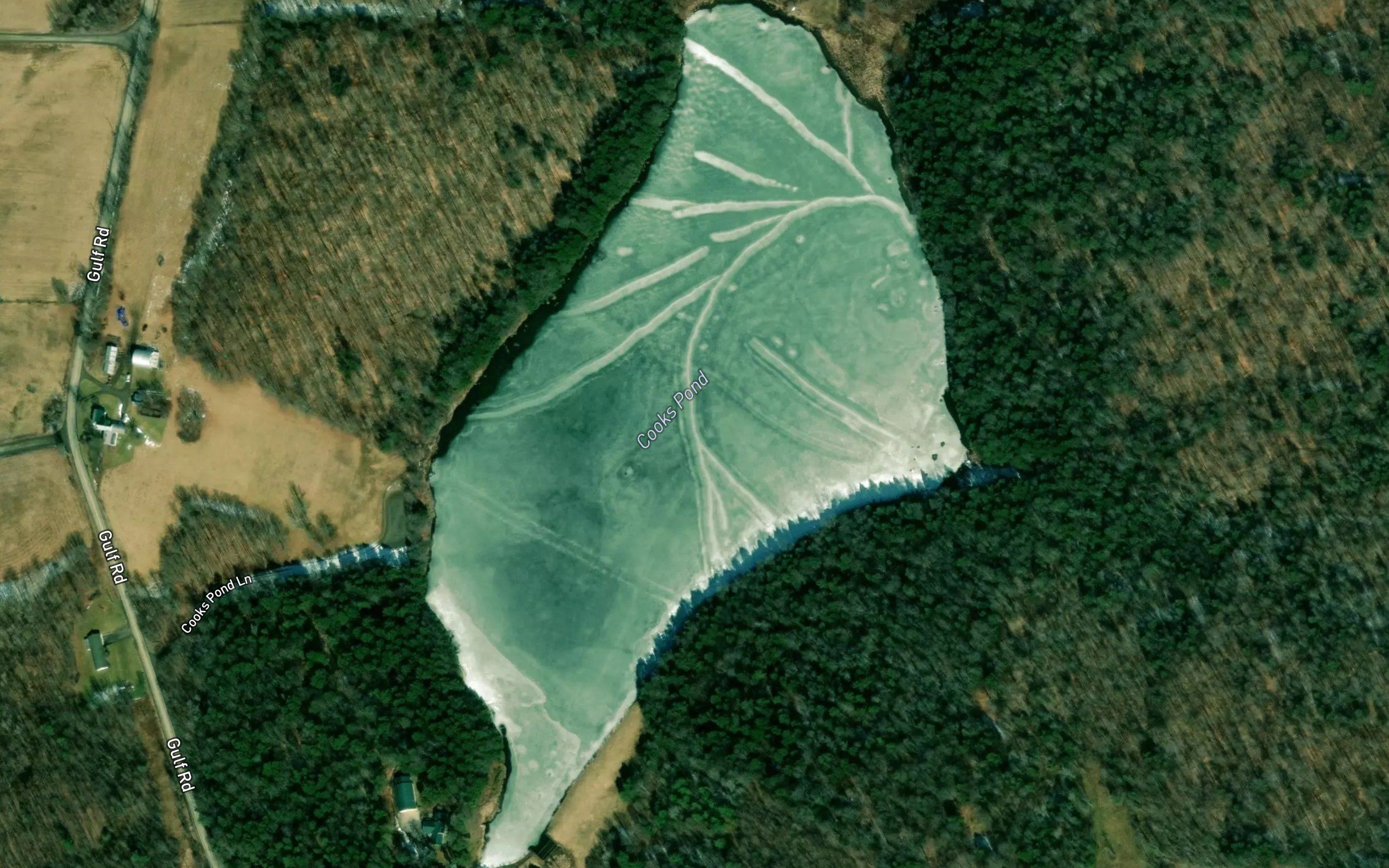 Cooks Pond