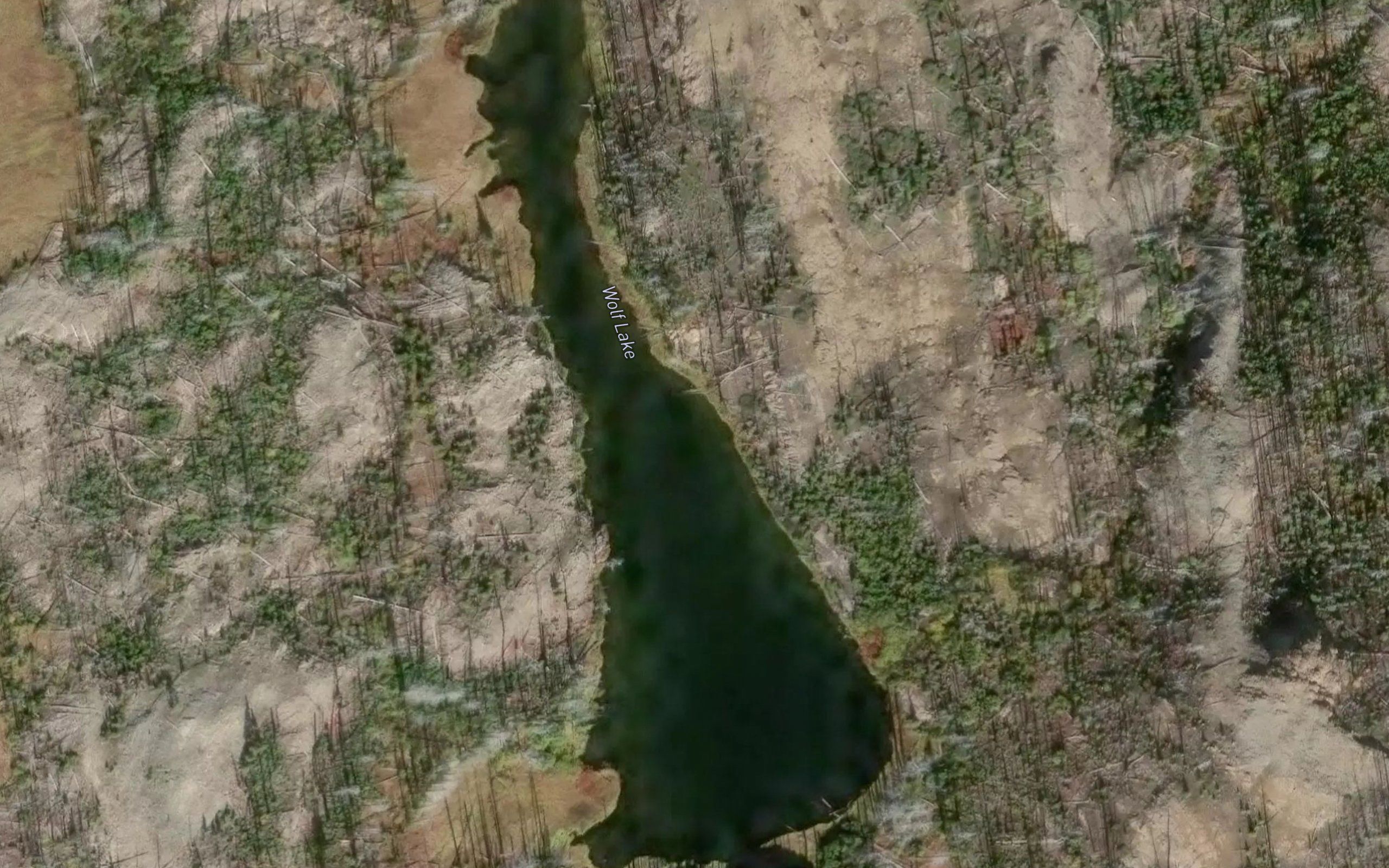 Wolf Lake