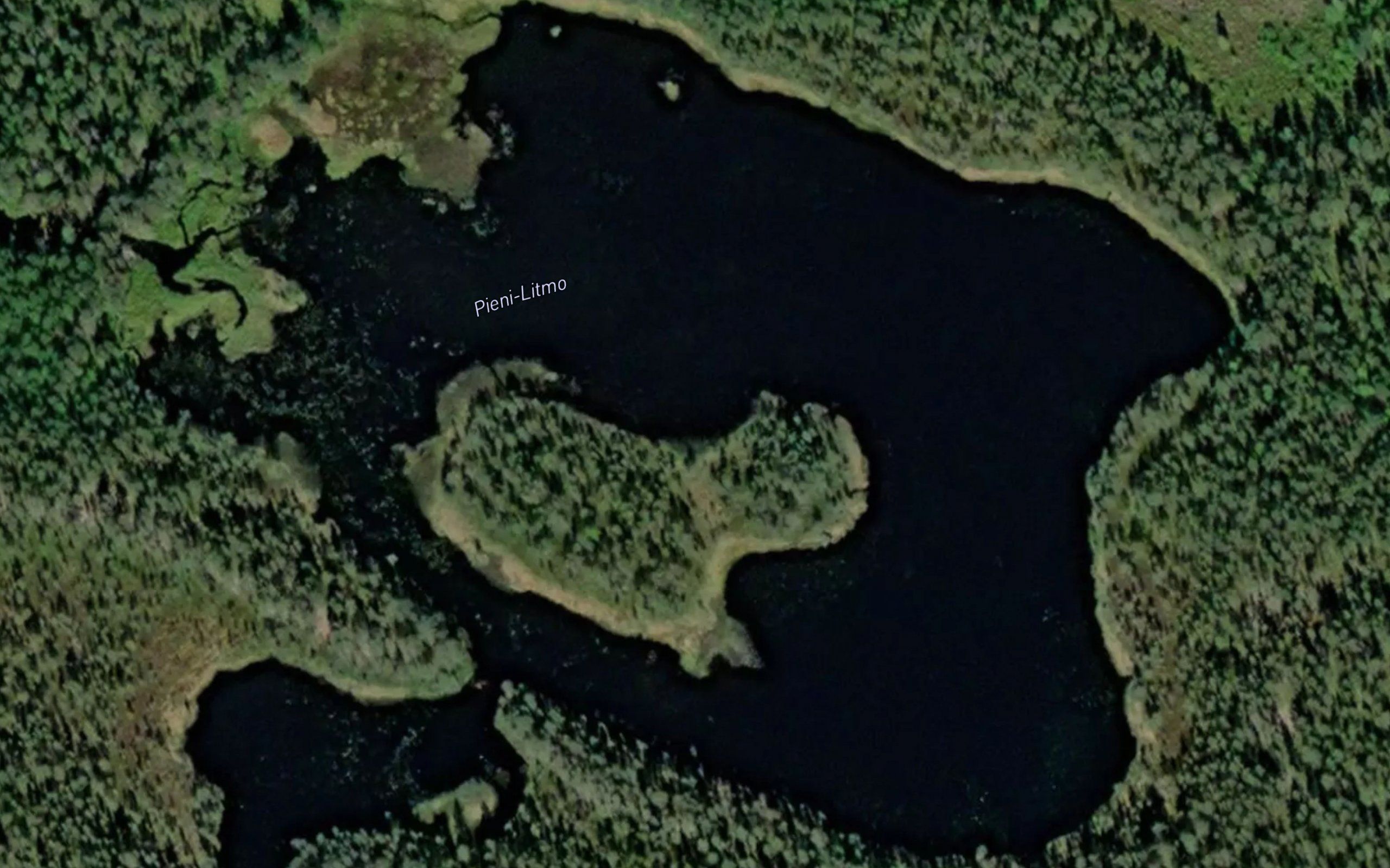 Pieni-Litmo