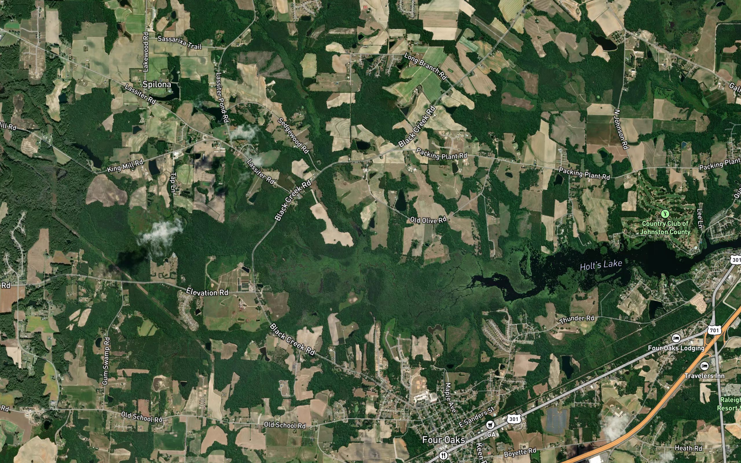 Sassarixa Swamp