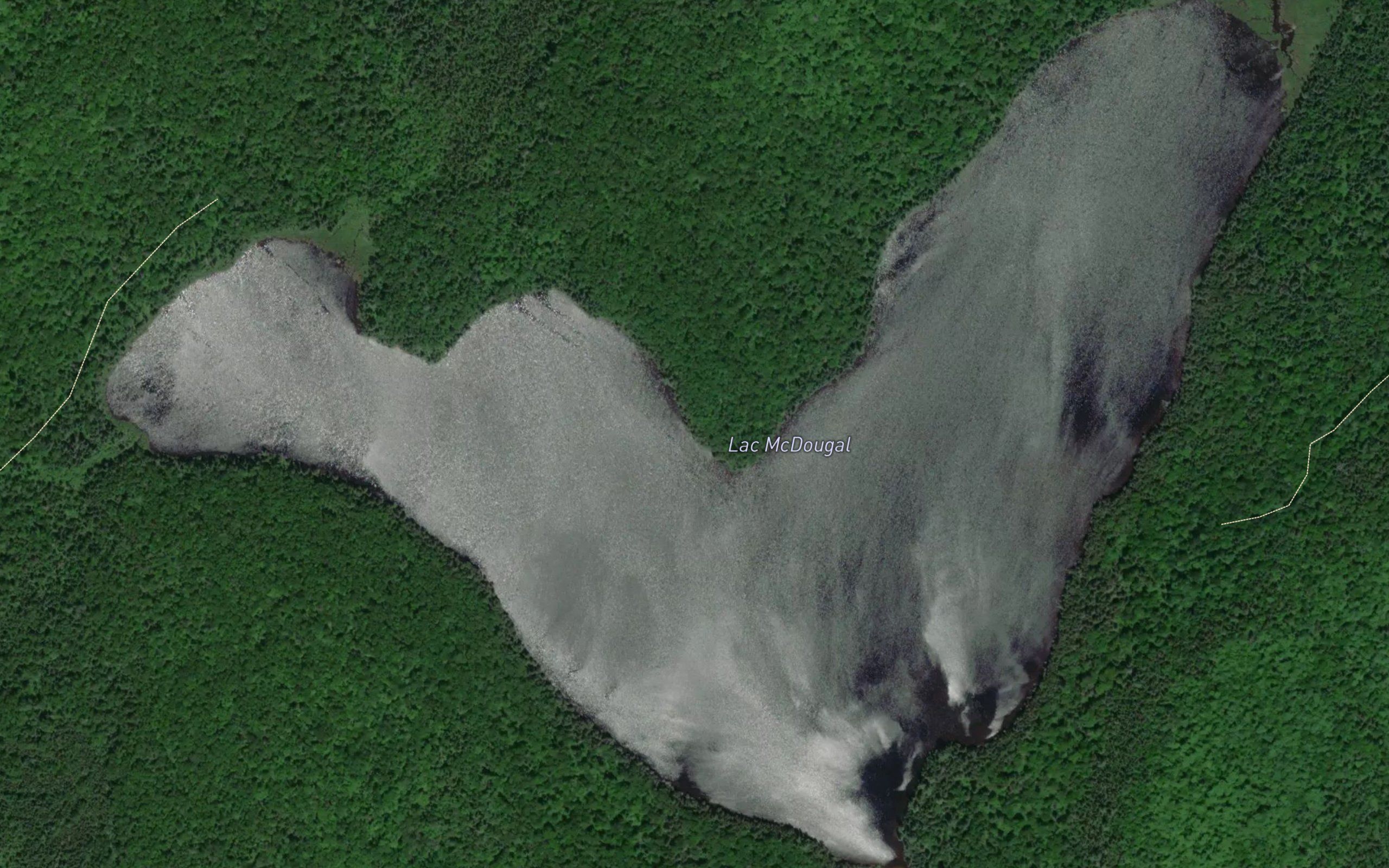 Lac McDougal