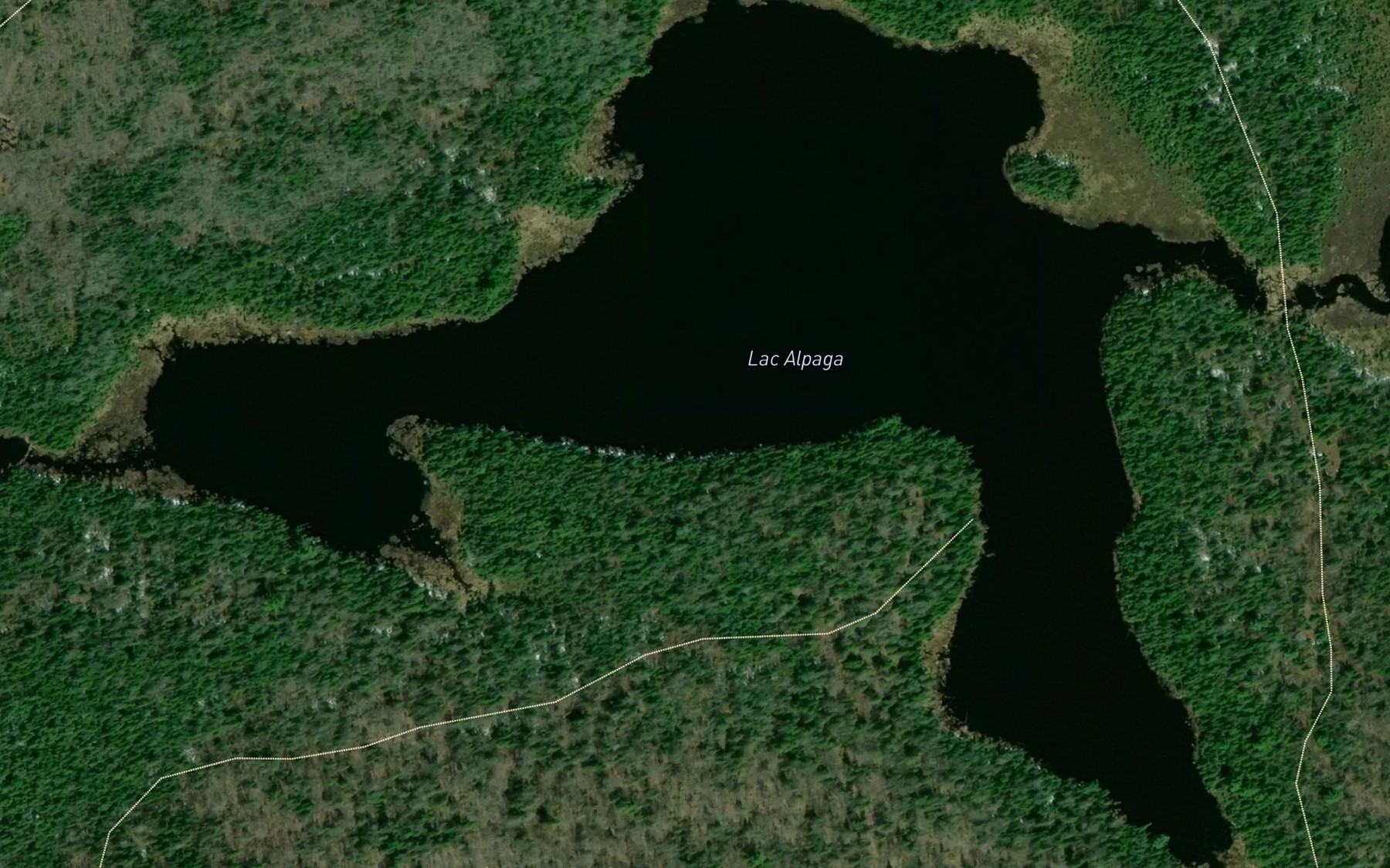 Satellite map of the Lac Alpaga