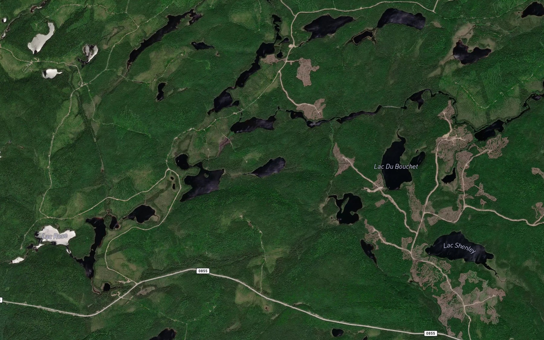 Satellite map of the Lac de l'Arbalete