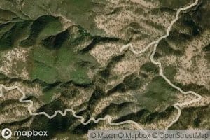 Grizzly Spring
