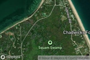 Squam Brook