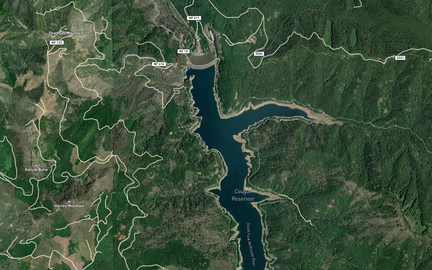 Satellite map of the East Fork South Fork McKenzie River