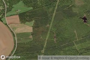 Brandy Brook