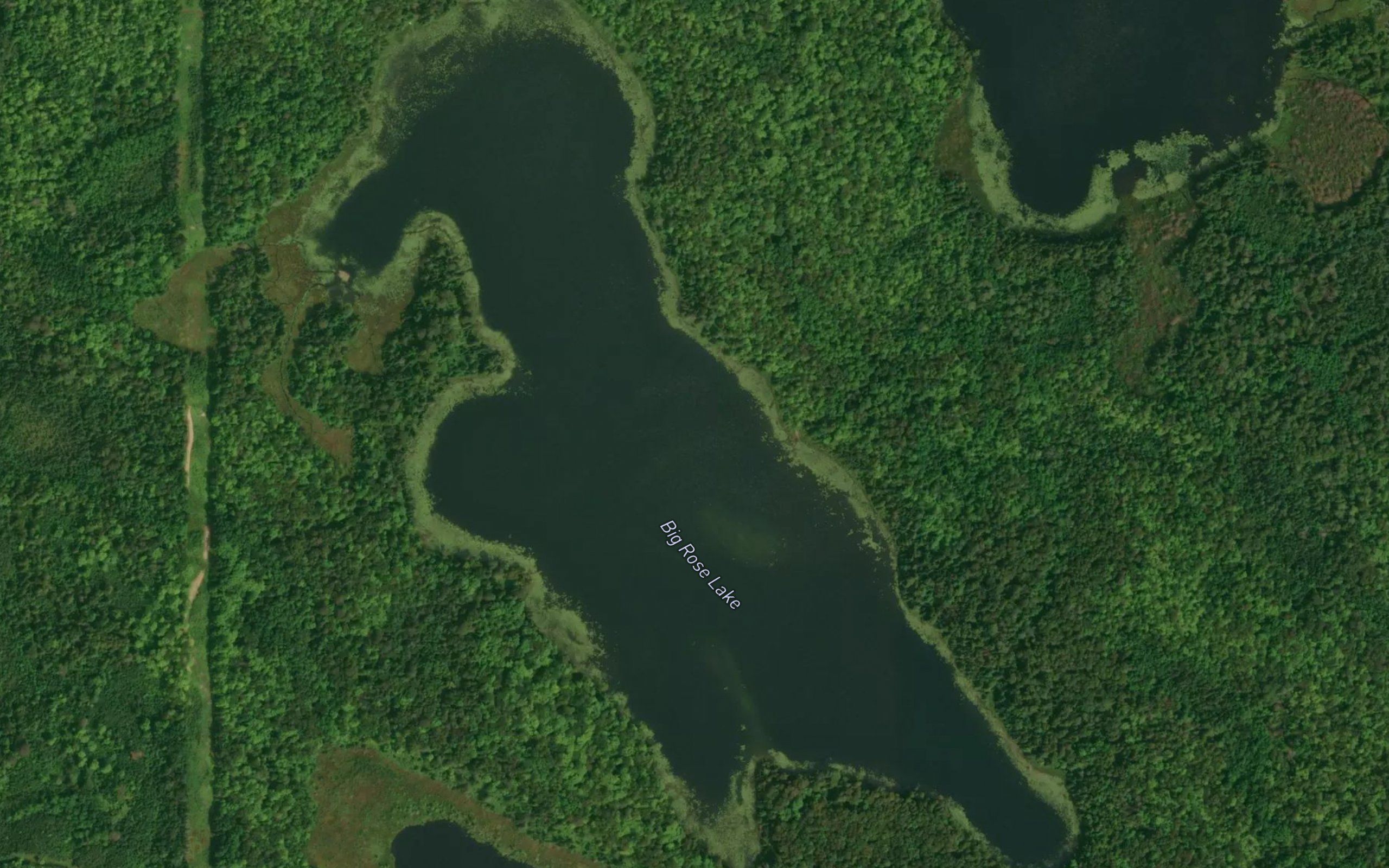 Big Rose Lake