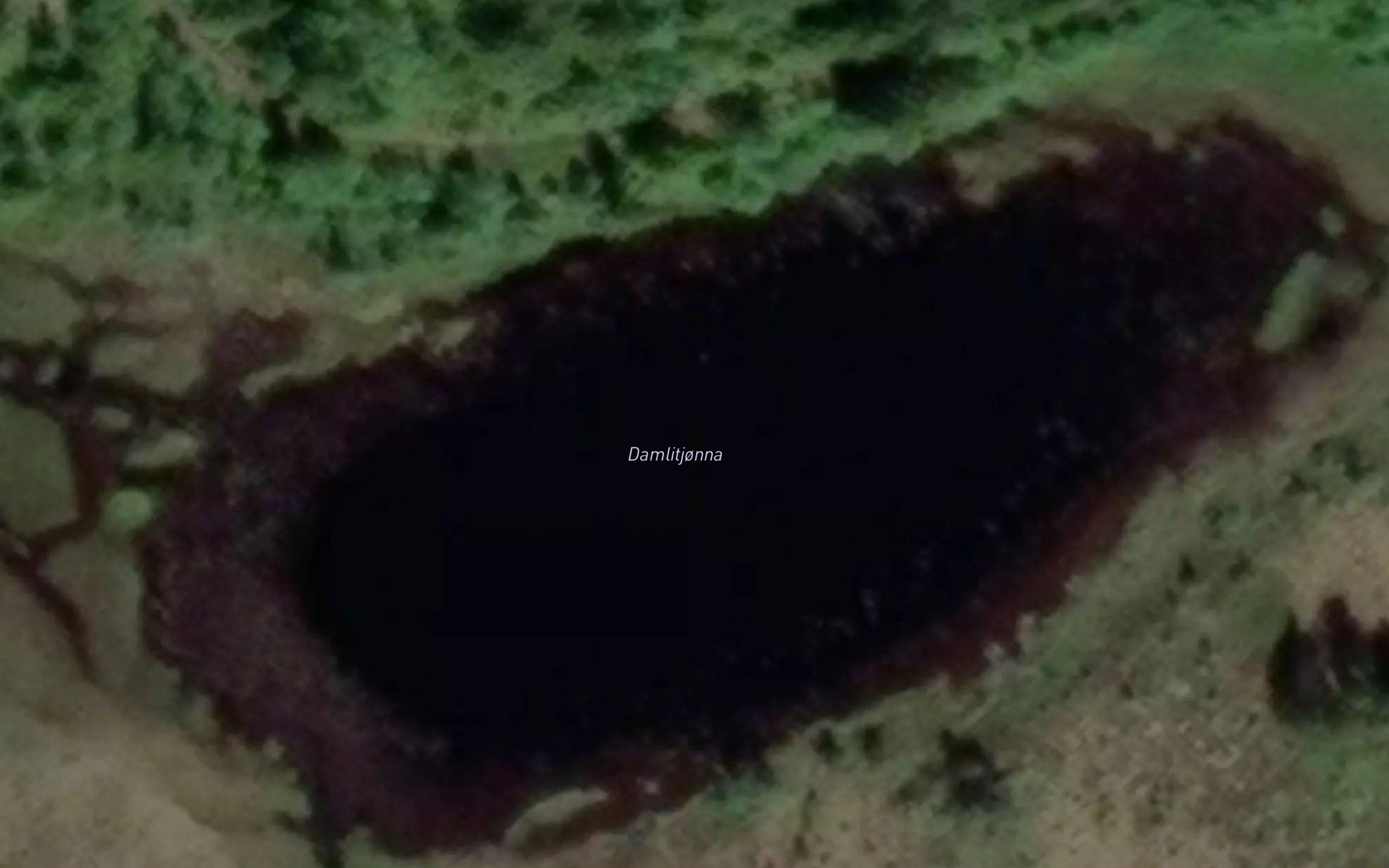 Damlitjorna