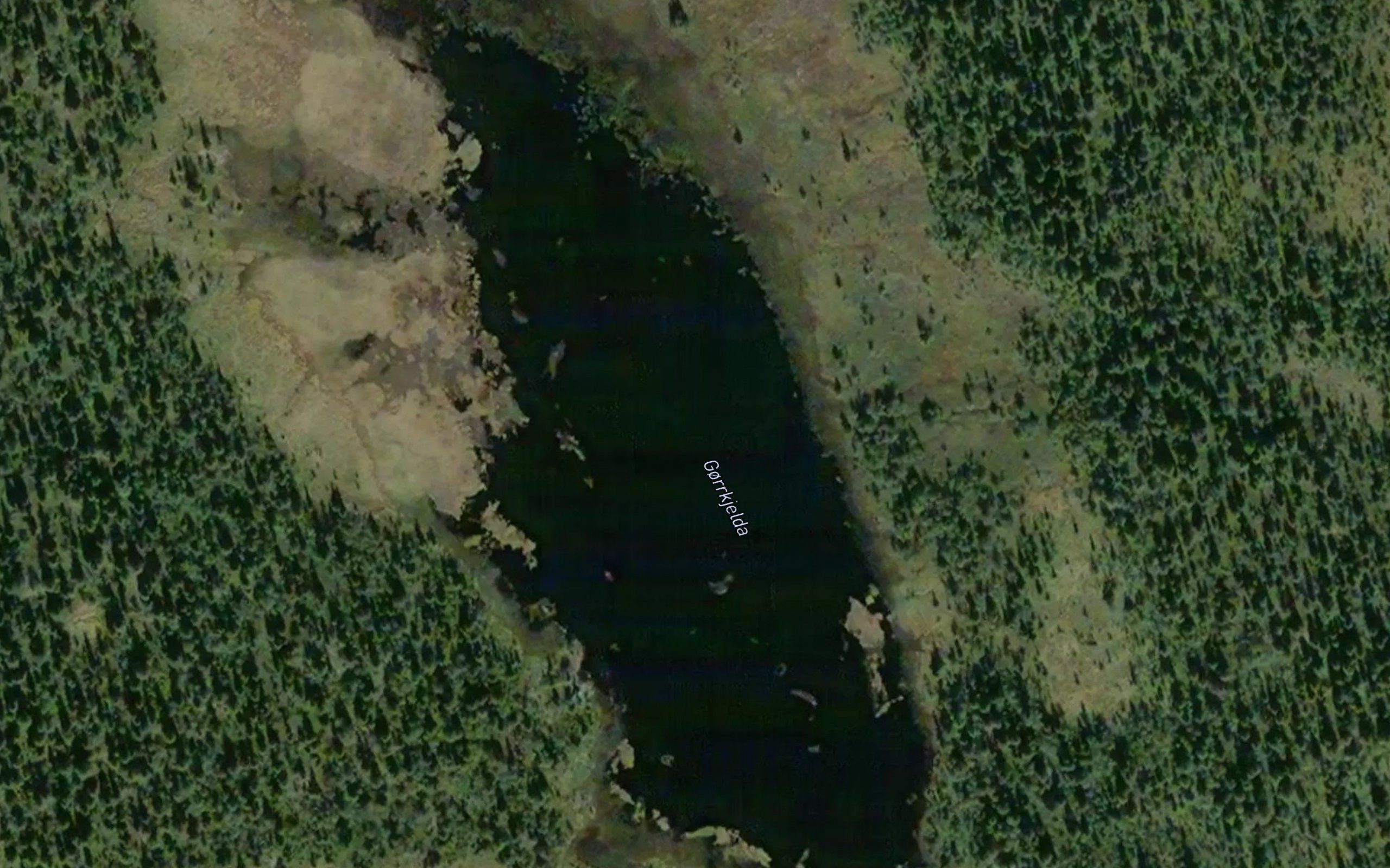 Gorrkjelda