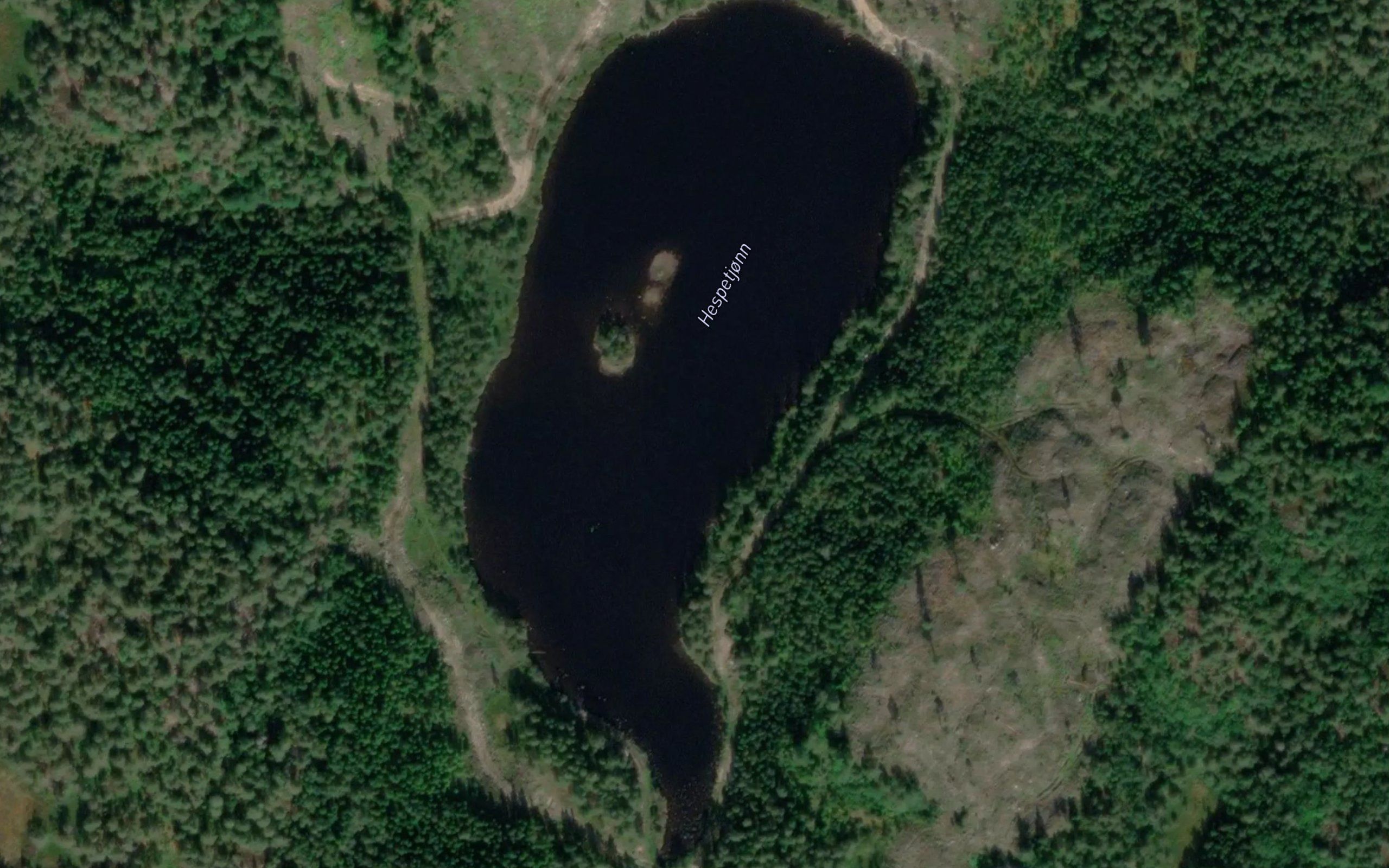 Hespentjorn