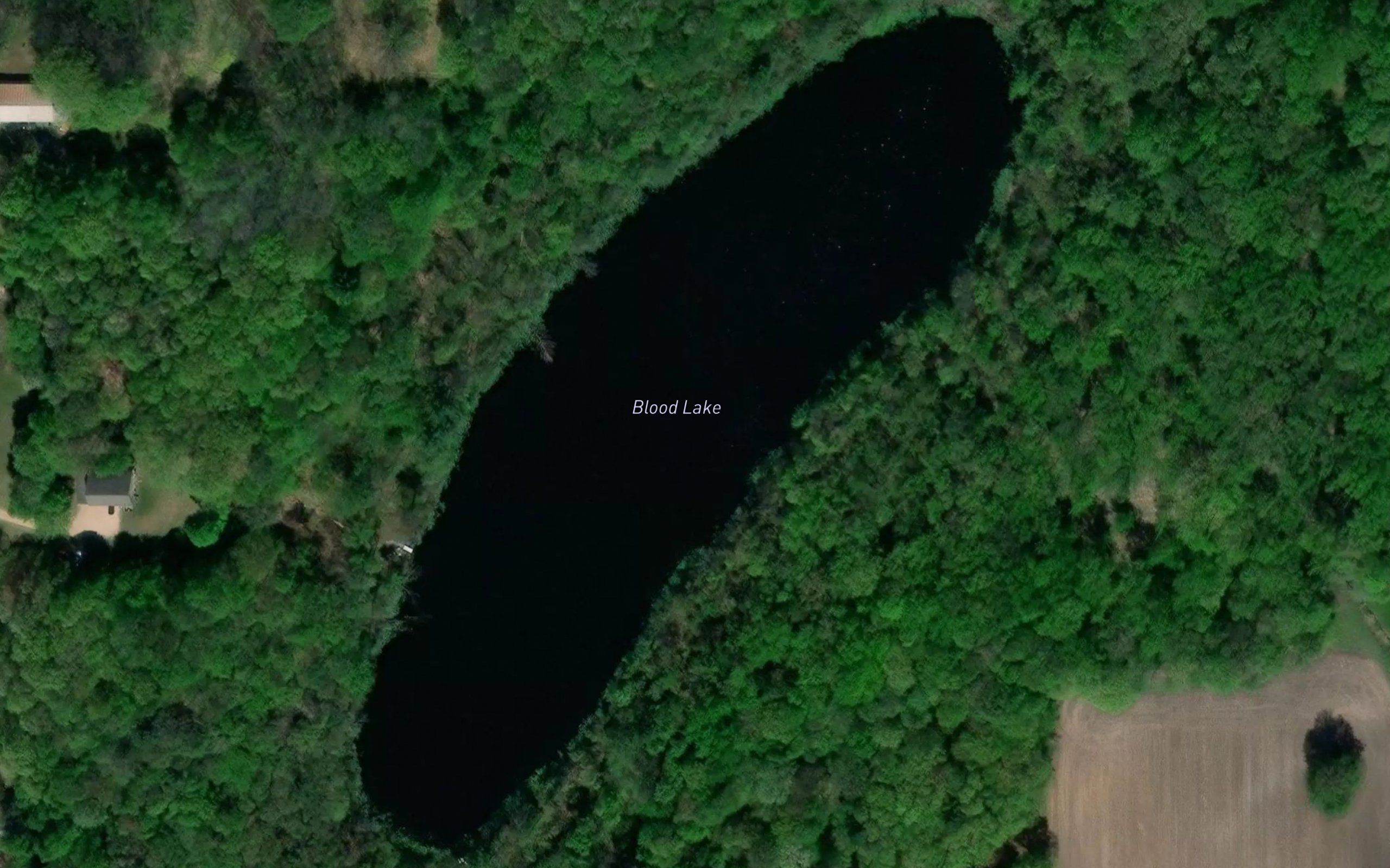 Blood Lake