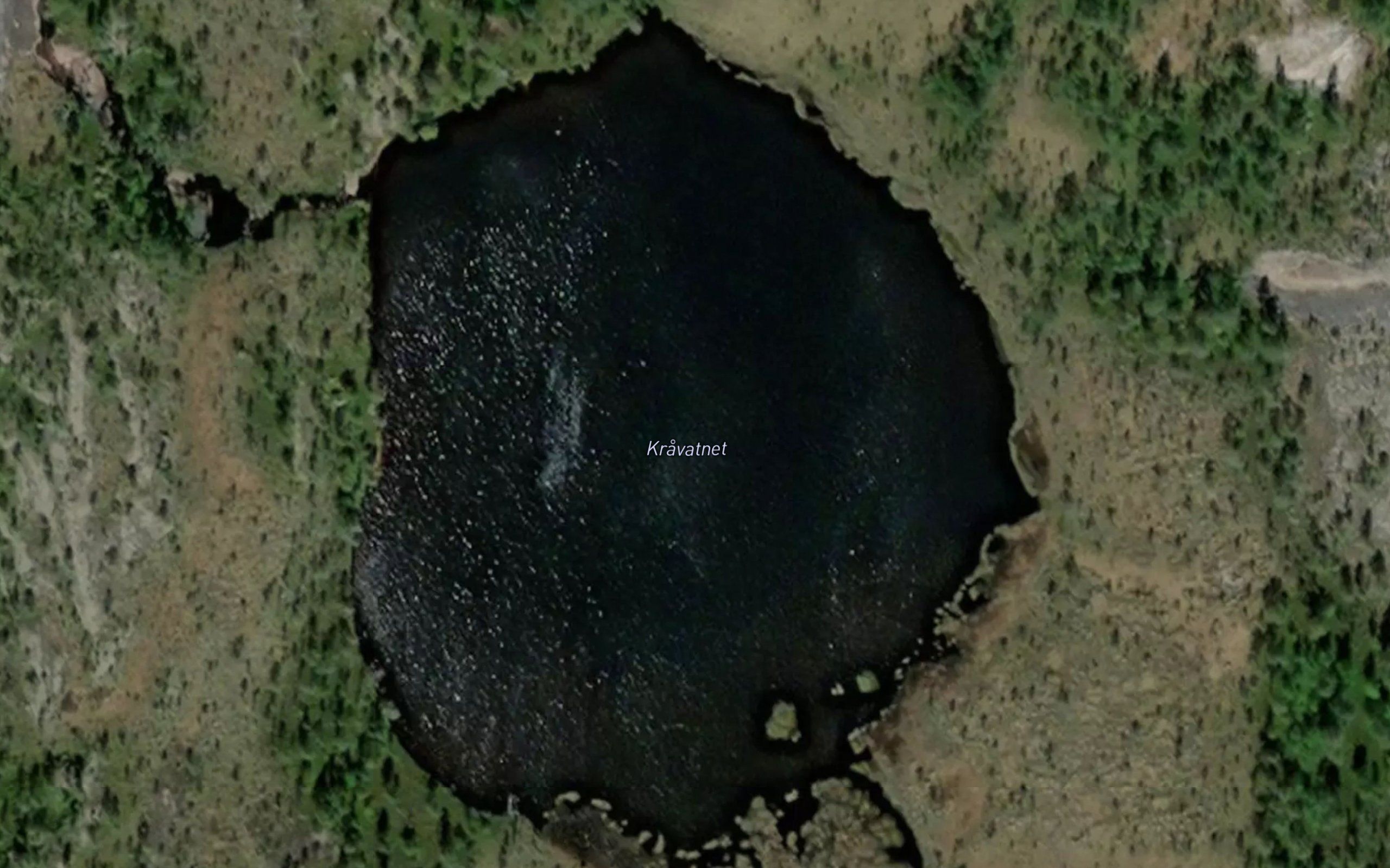 Kravatnet