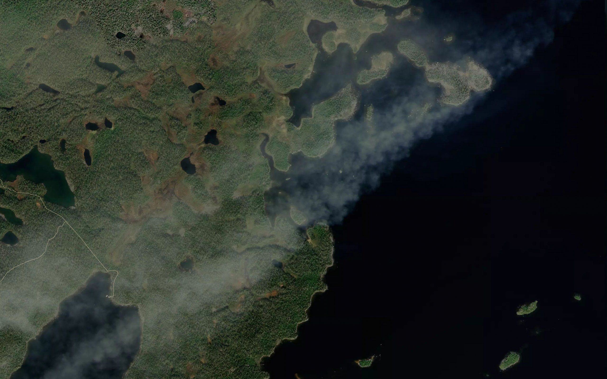 Fattervuono