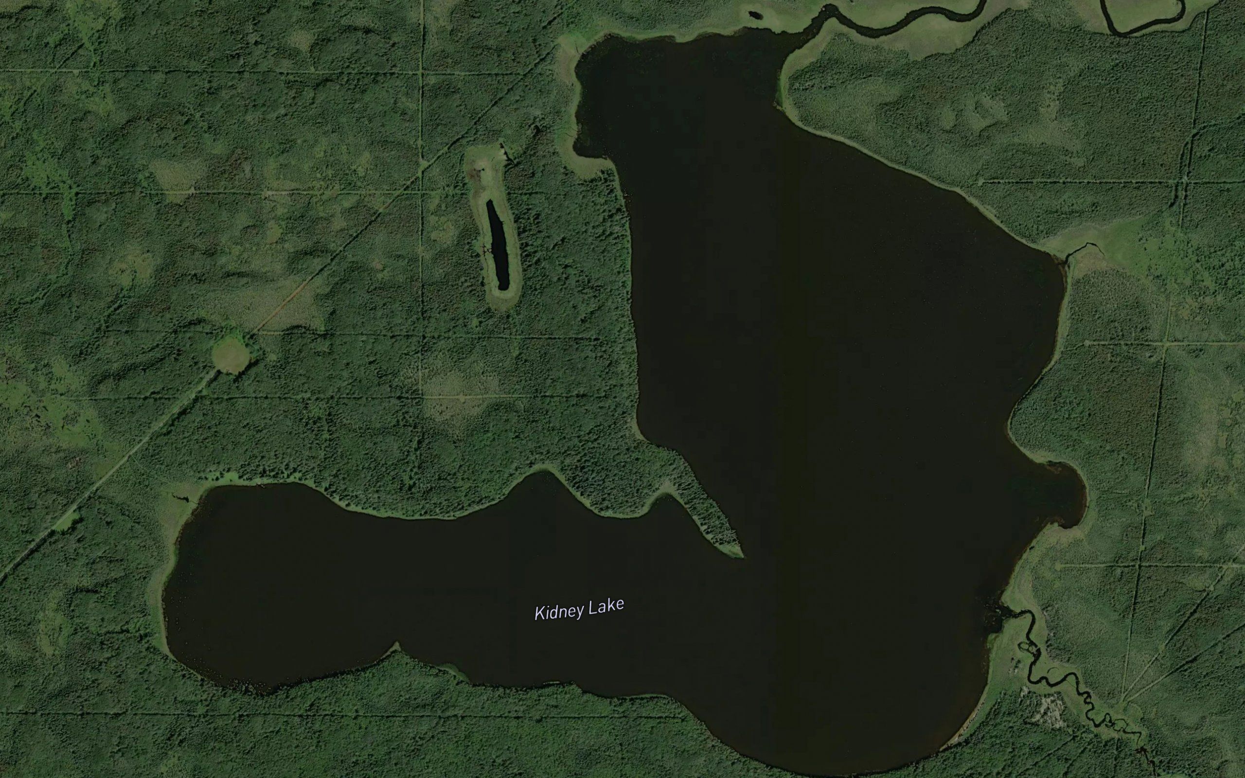 Kidney Lake