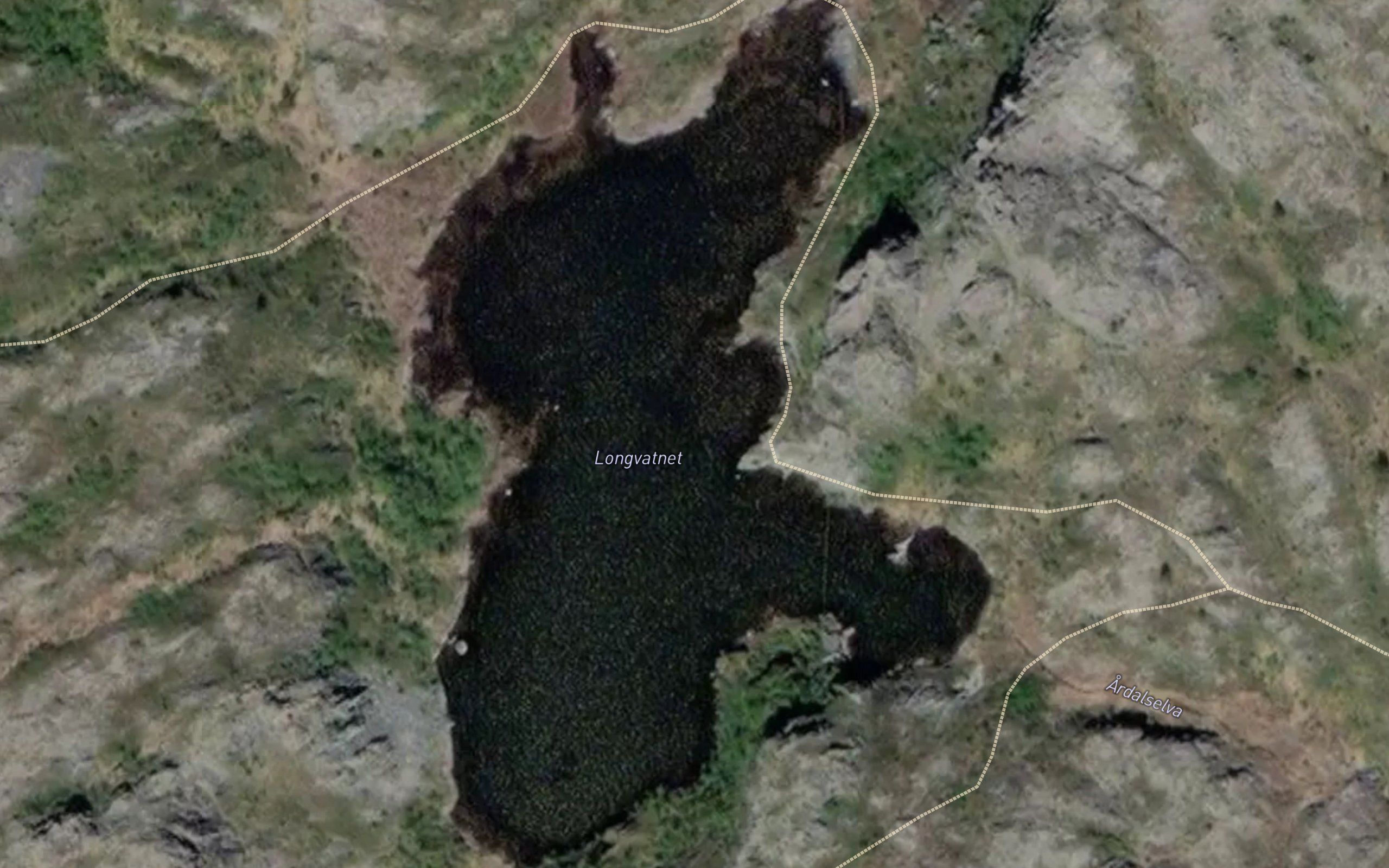 Lomvatnet