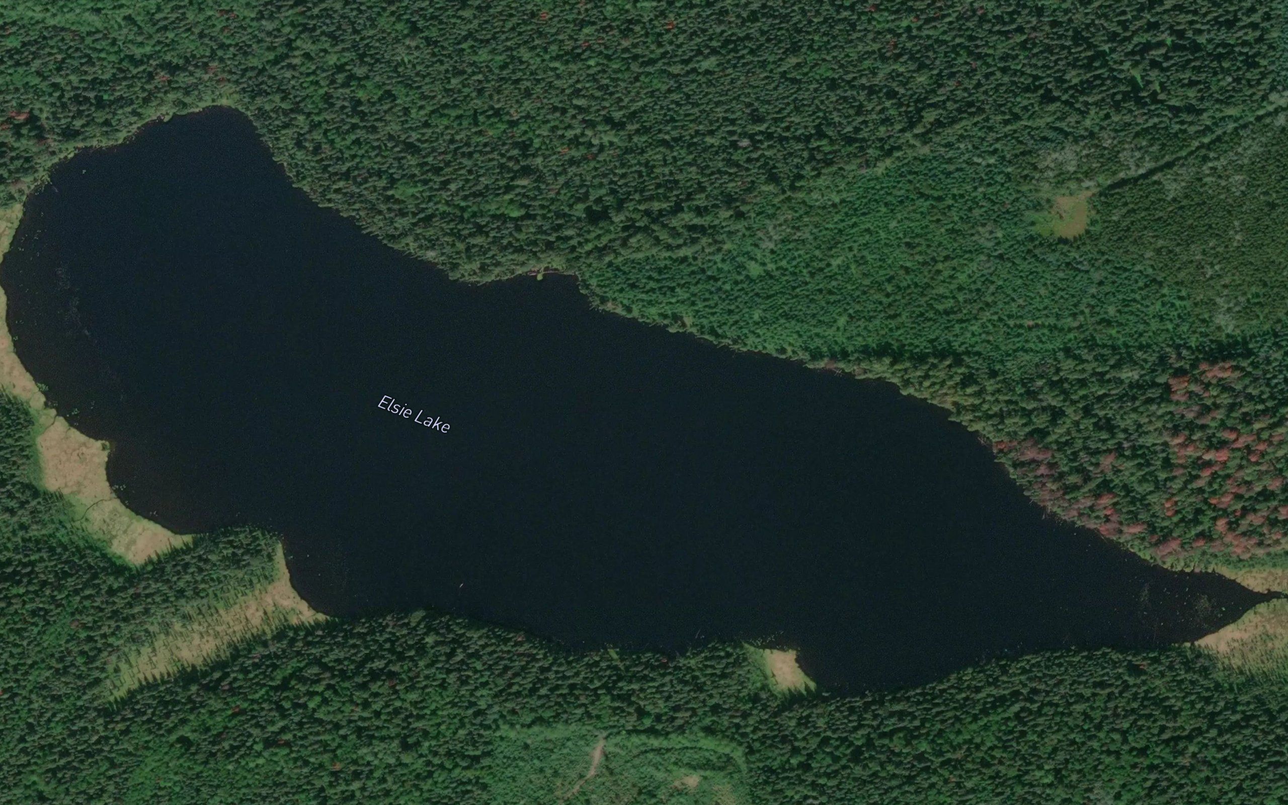 Elsie Lake