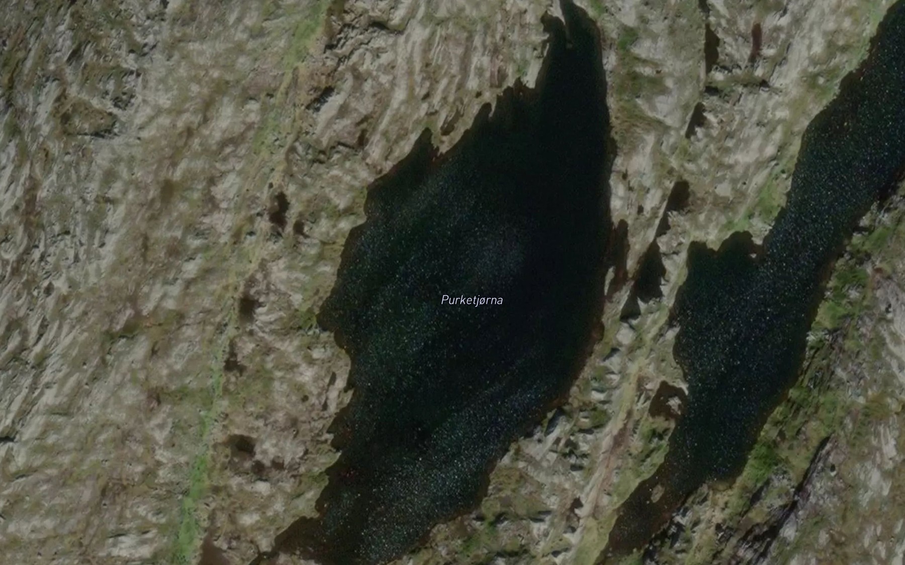 Satellite map of the Purketjorna