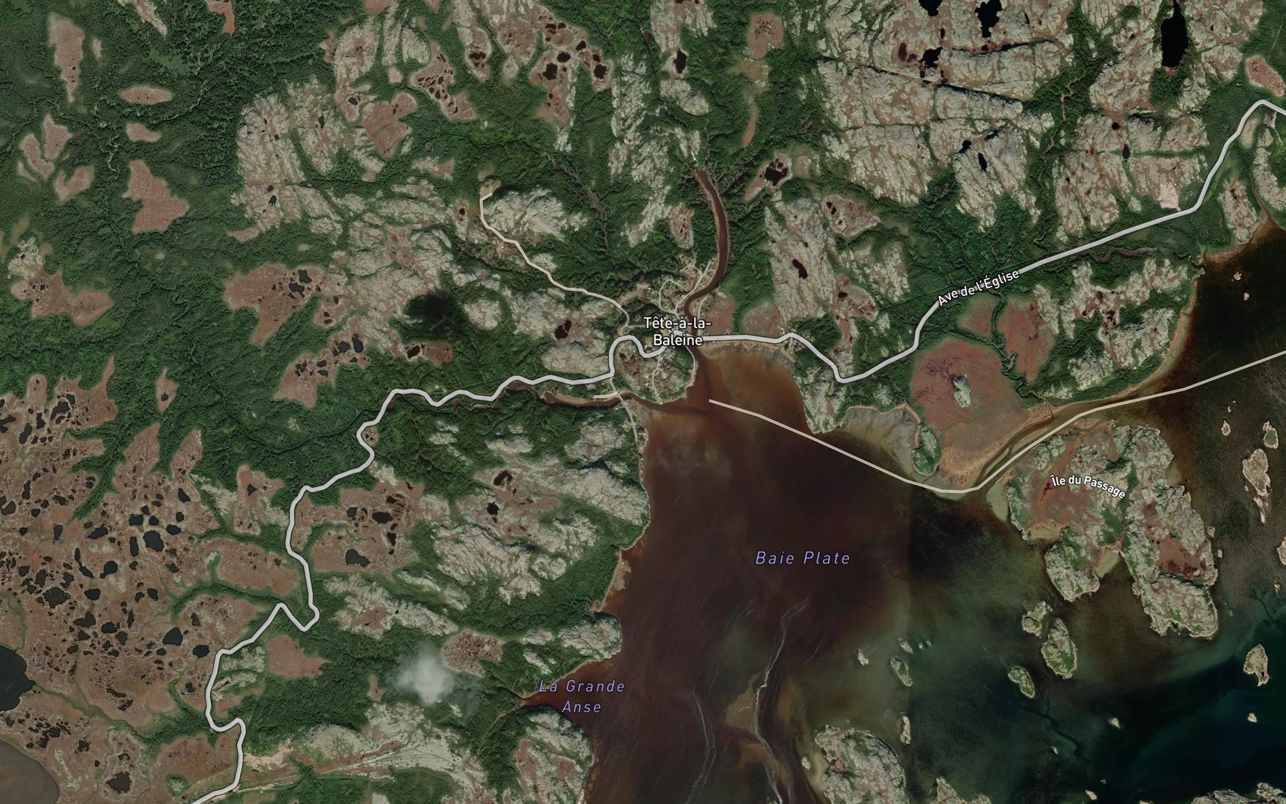 Satellite map of the Riviere de l'Ouest