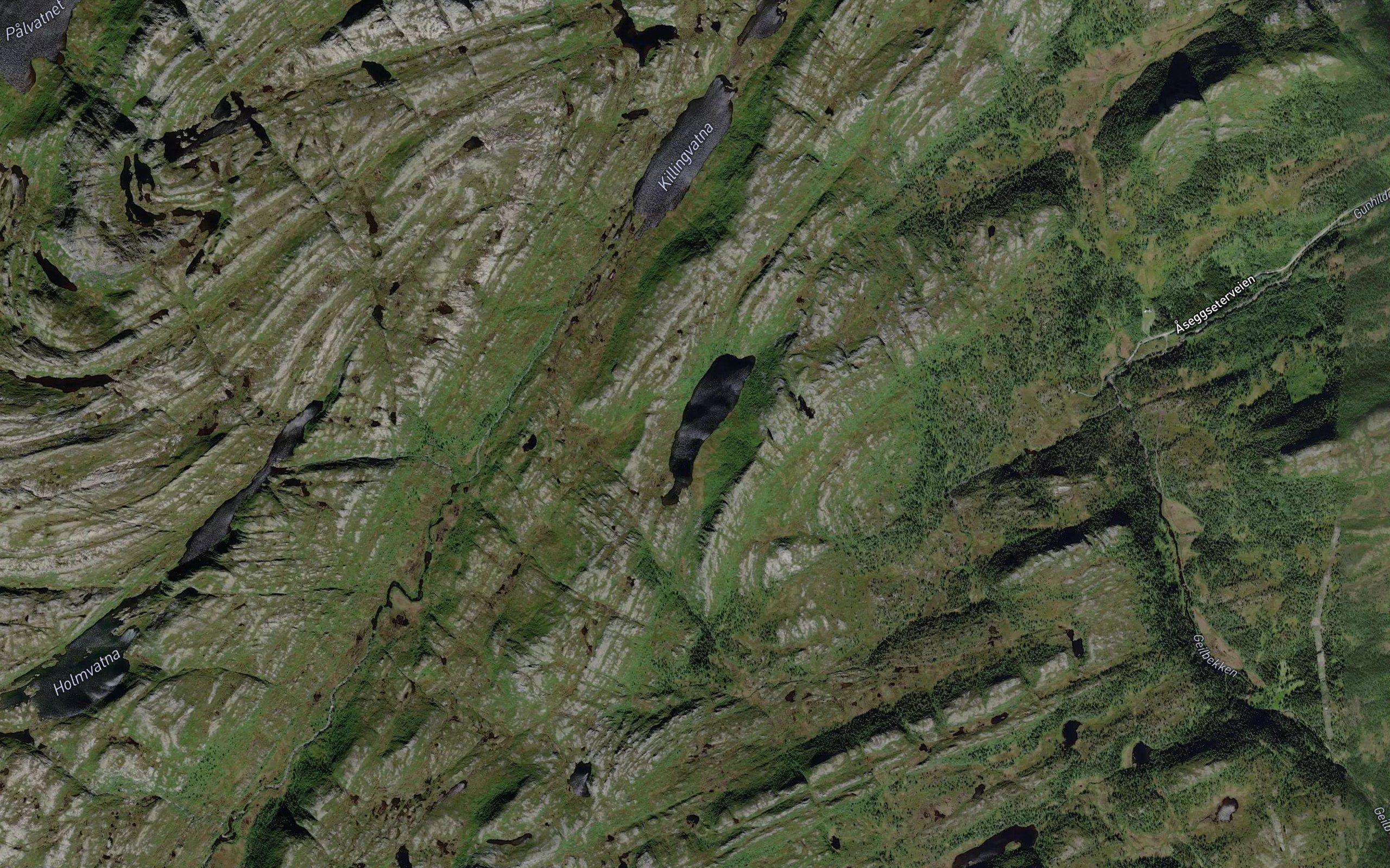 Finnmortentjorna