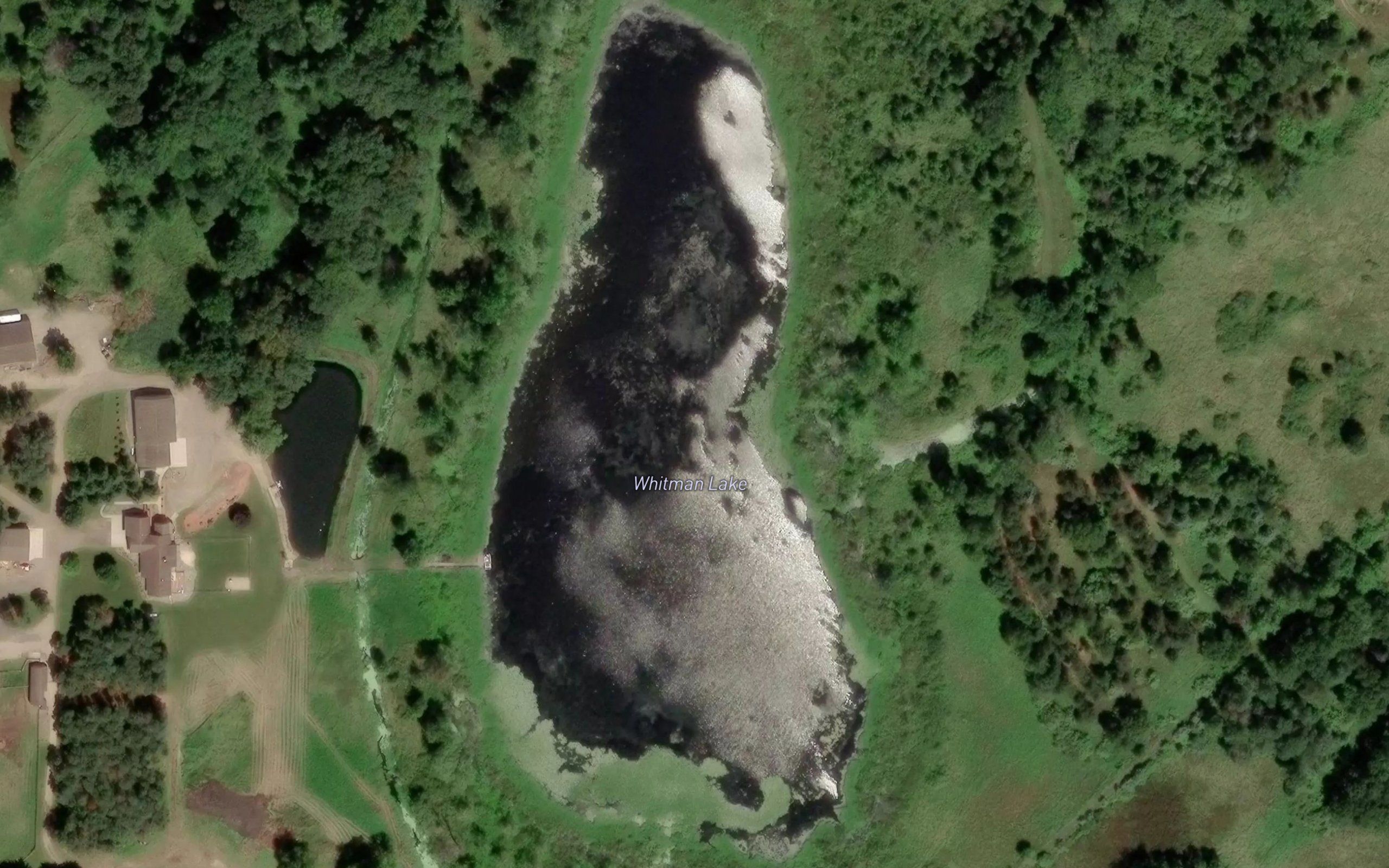 Whitman Lake
