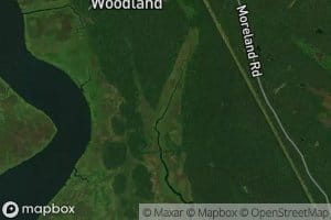 Bonnie Reserve