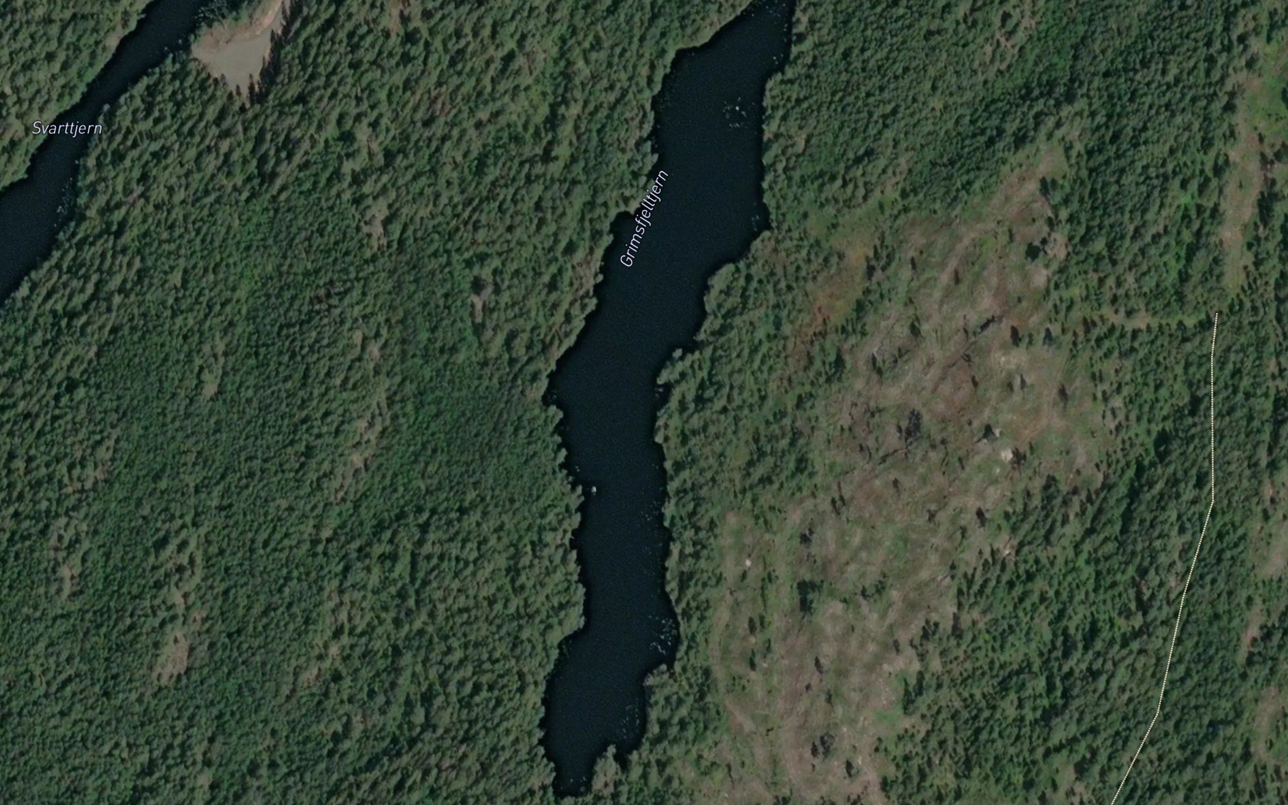 Grimsfjelltjern