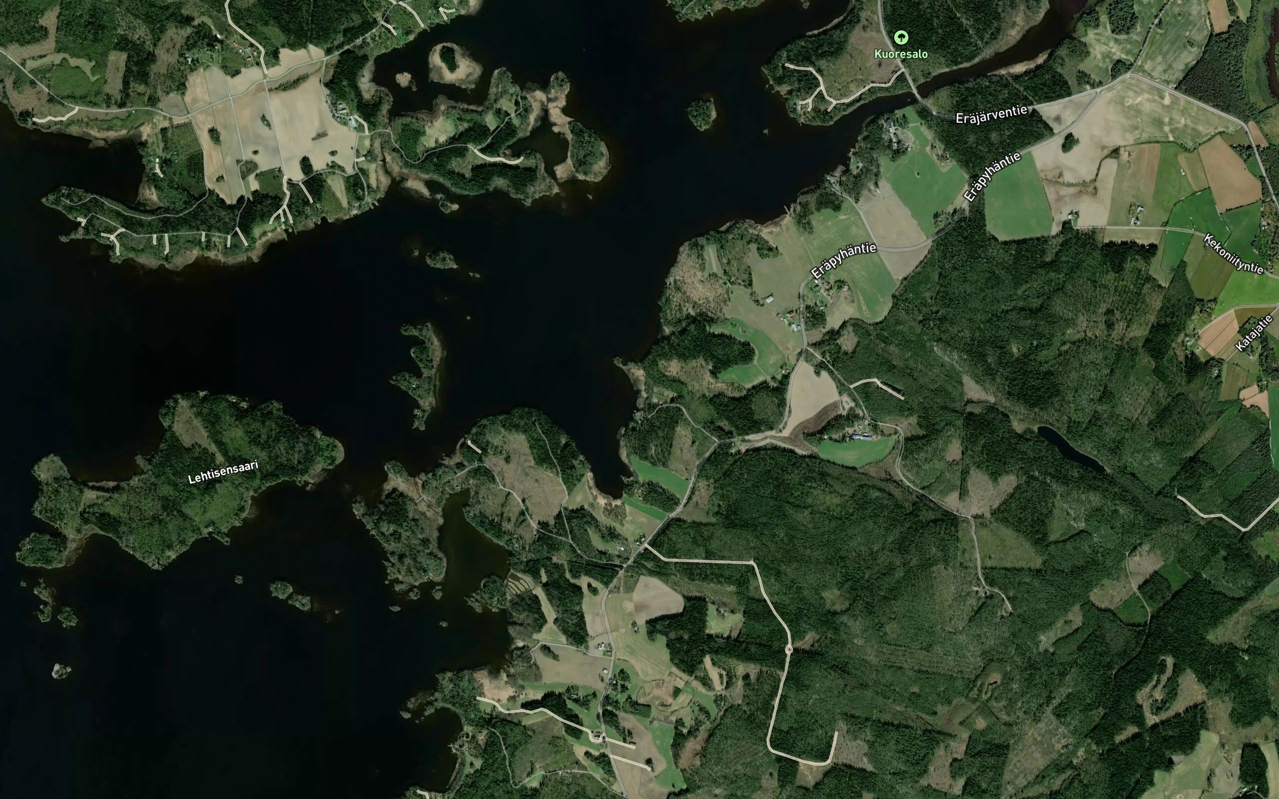 Kintturinlahti