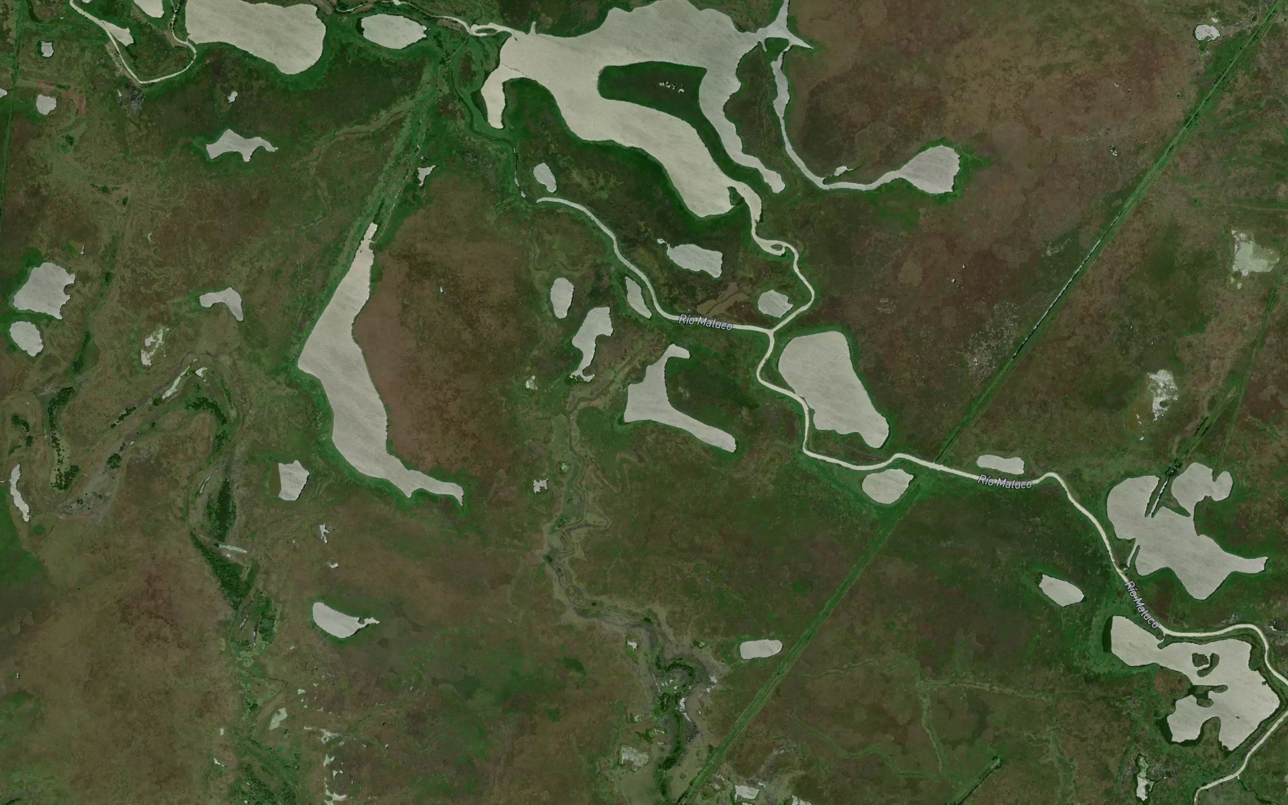 Laguna Pitahaya
