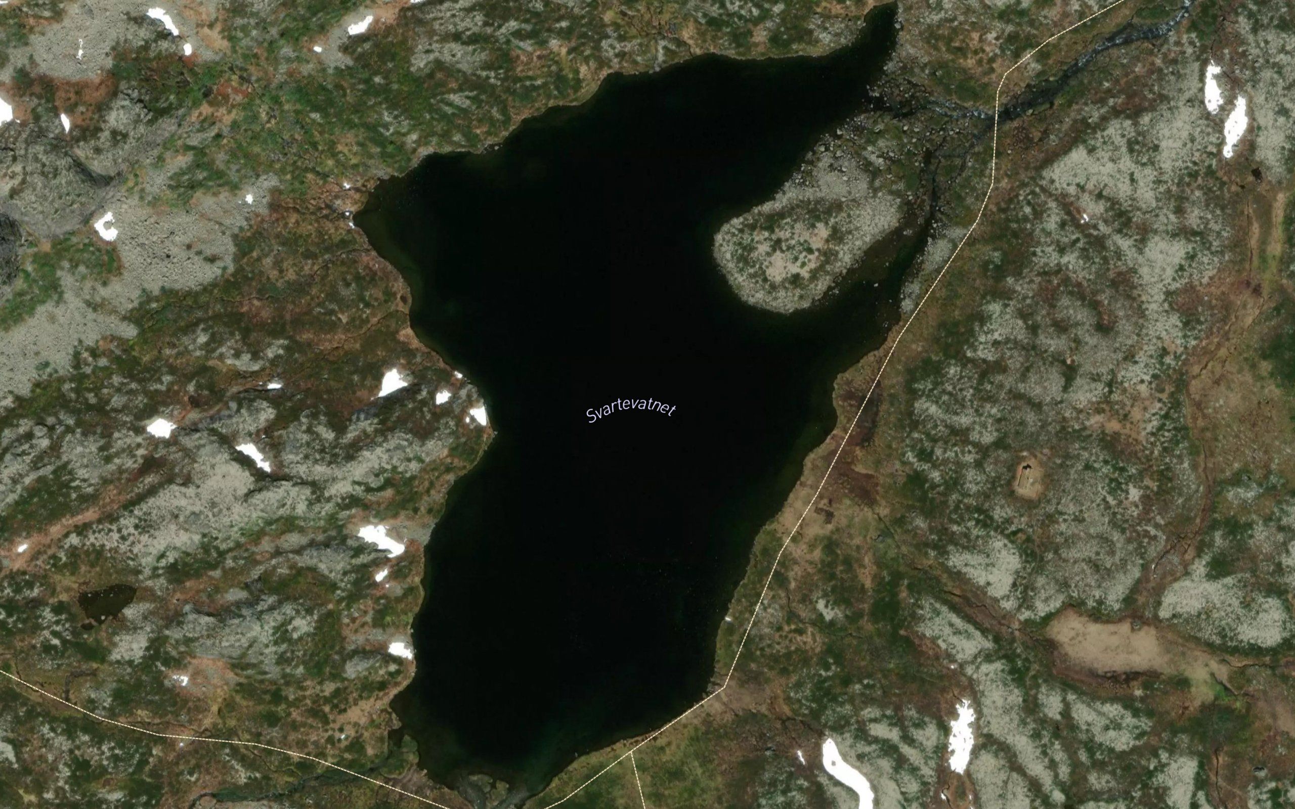 Svartevatnet