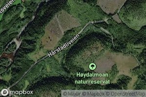 Hoydalsbekken