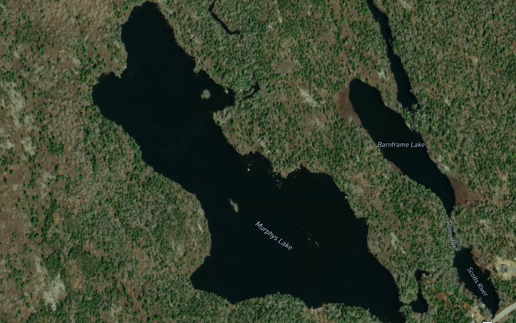 Satellite map of the Murphys Lake