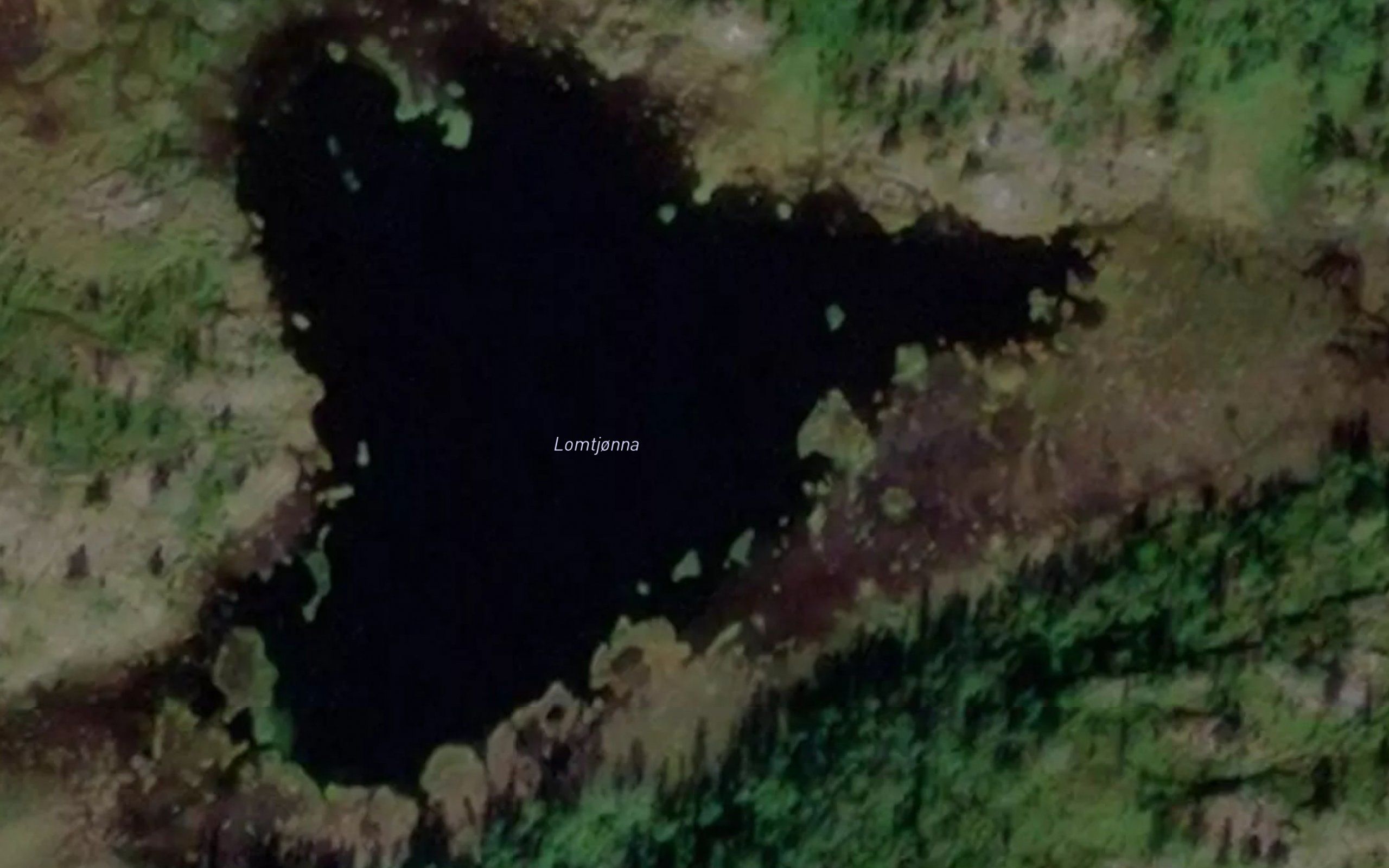 Lomtjonna