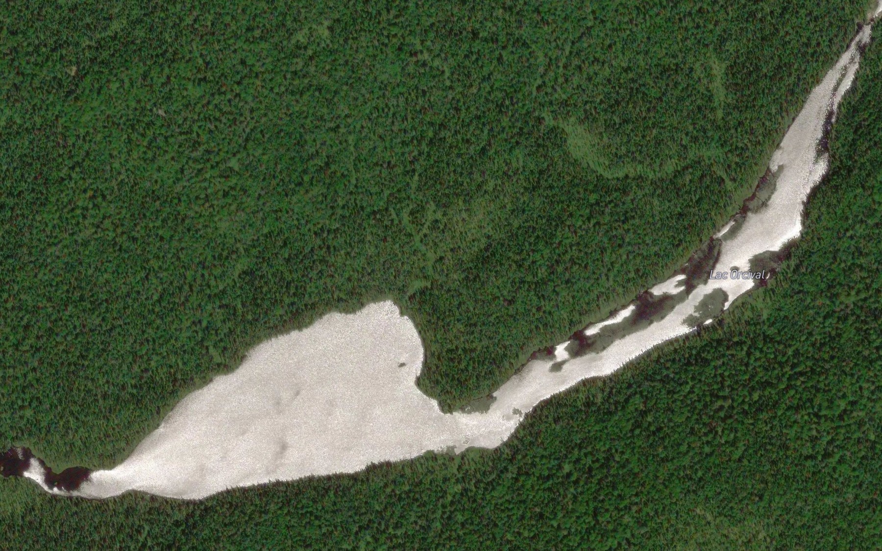 Satellite map of the Lac Orcival